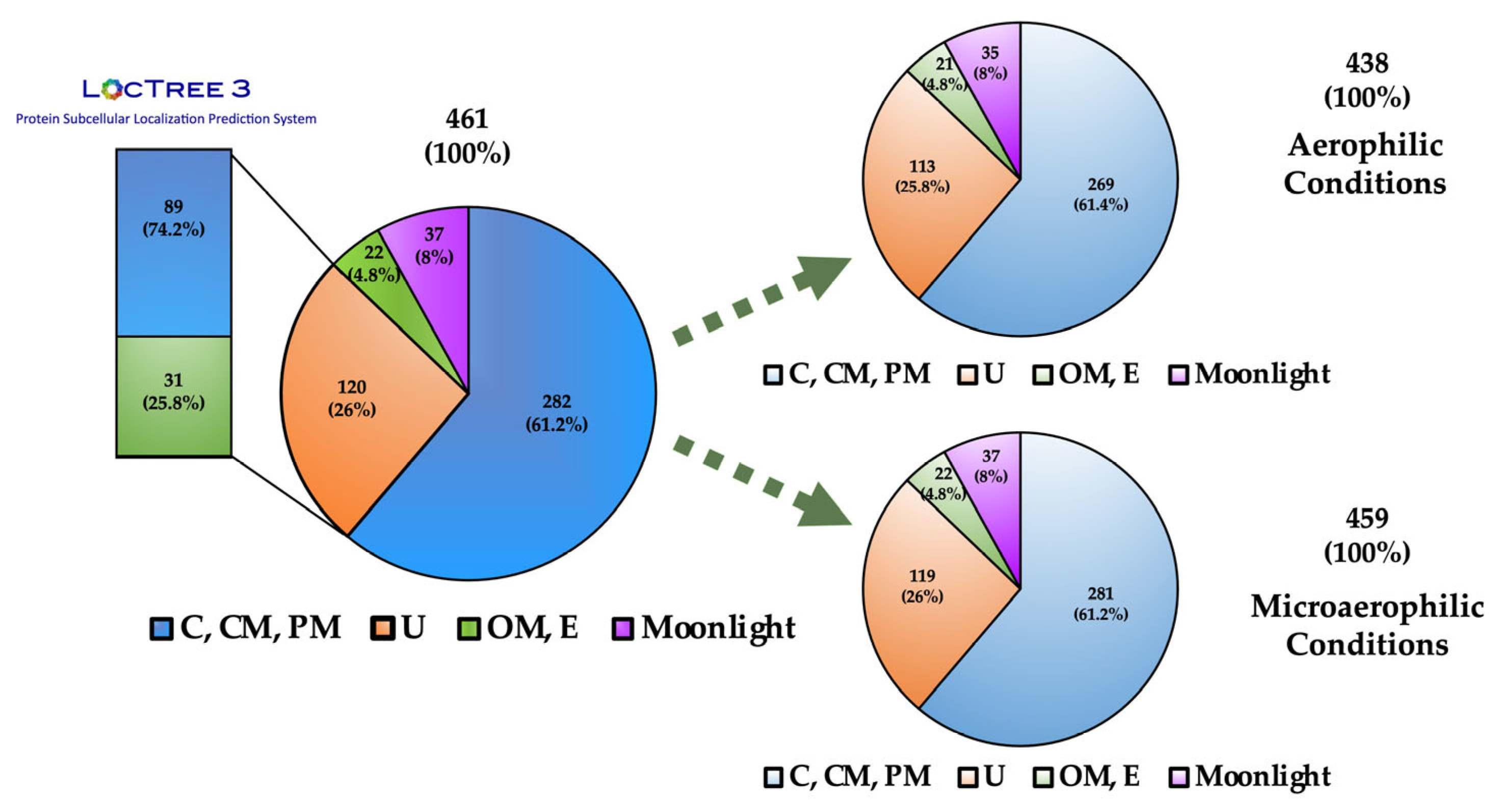 Vaccines 12 00398 g002 Vaccines 12 00398 g002