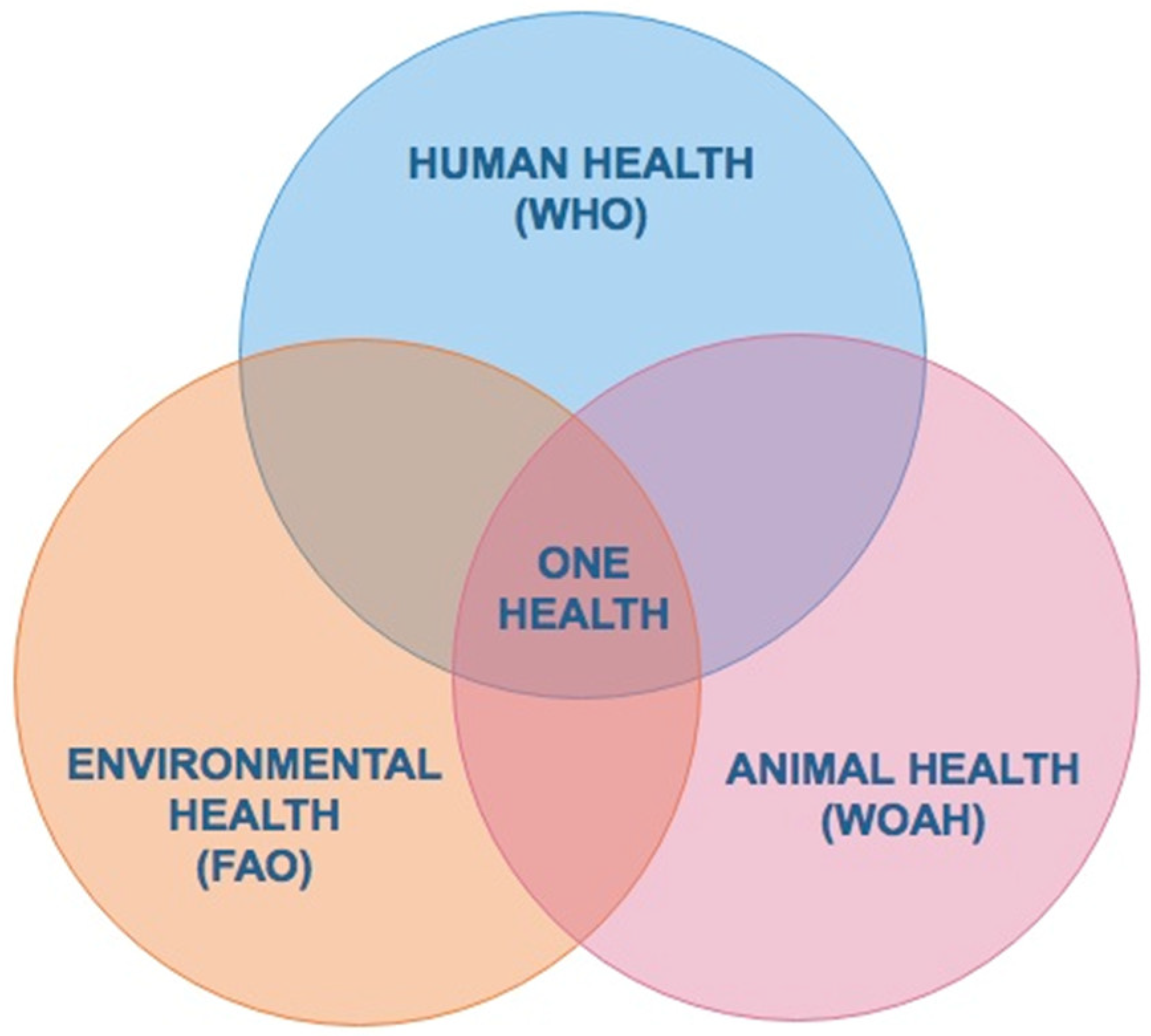 Vaccines 12 00403 g002
