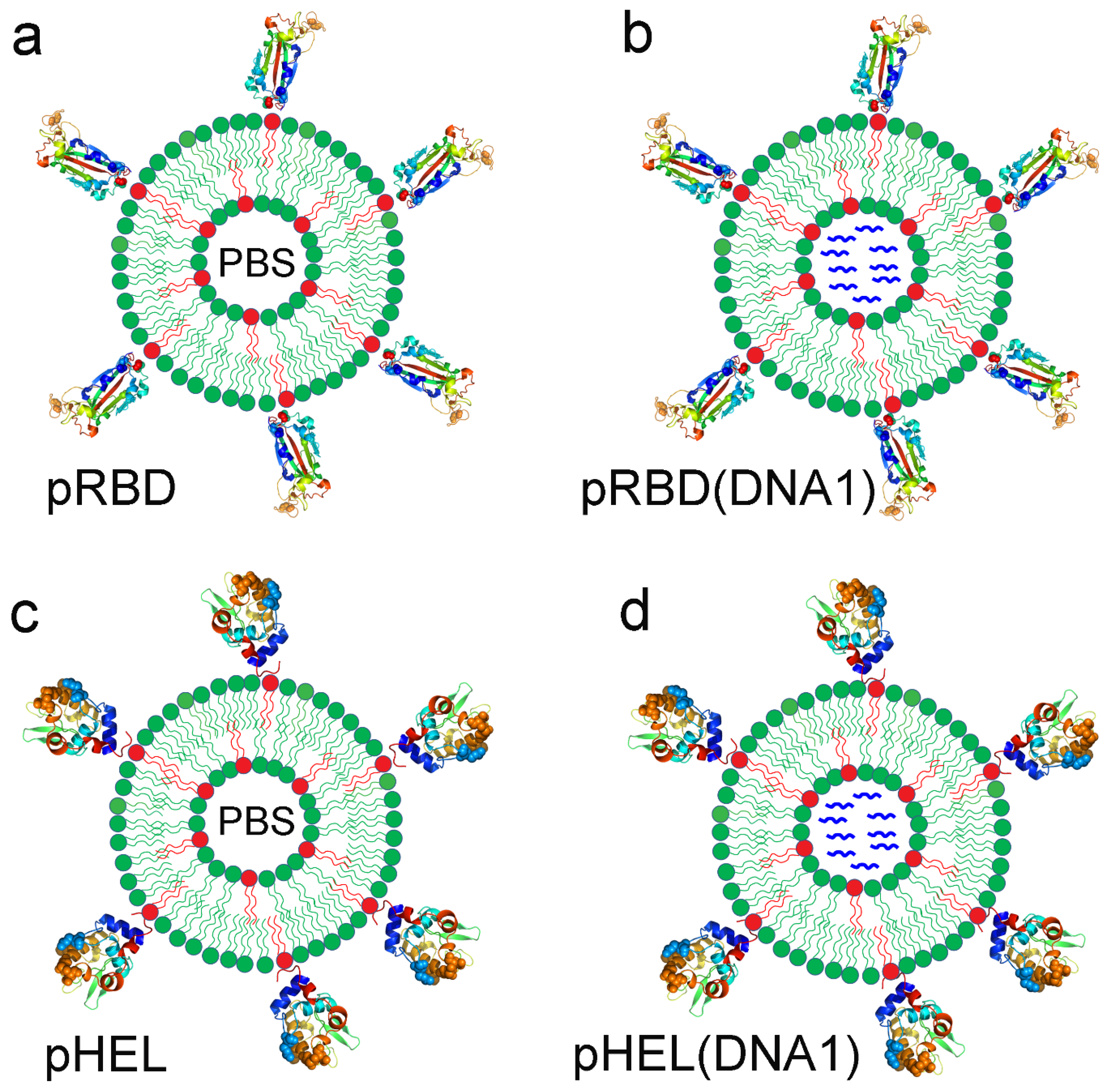 Vaccines 12 00405 g001