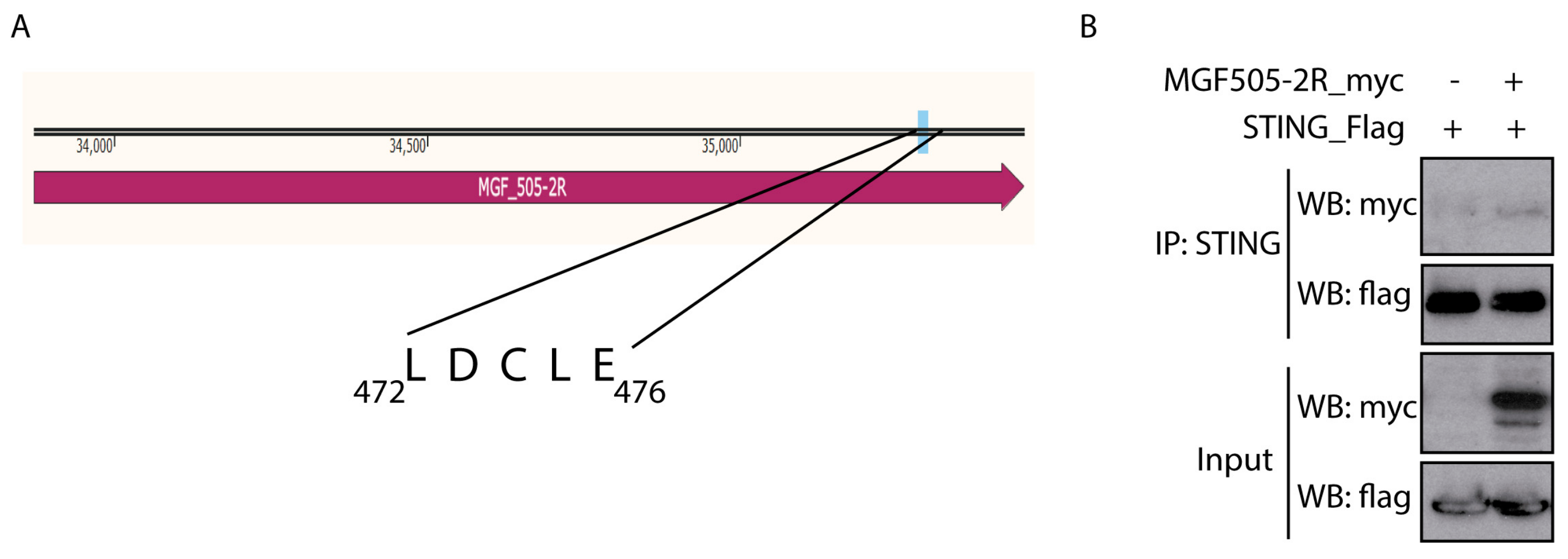 Vaccines 12 00407 g002
