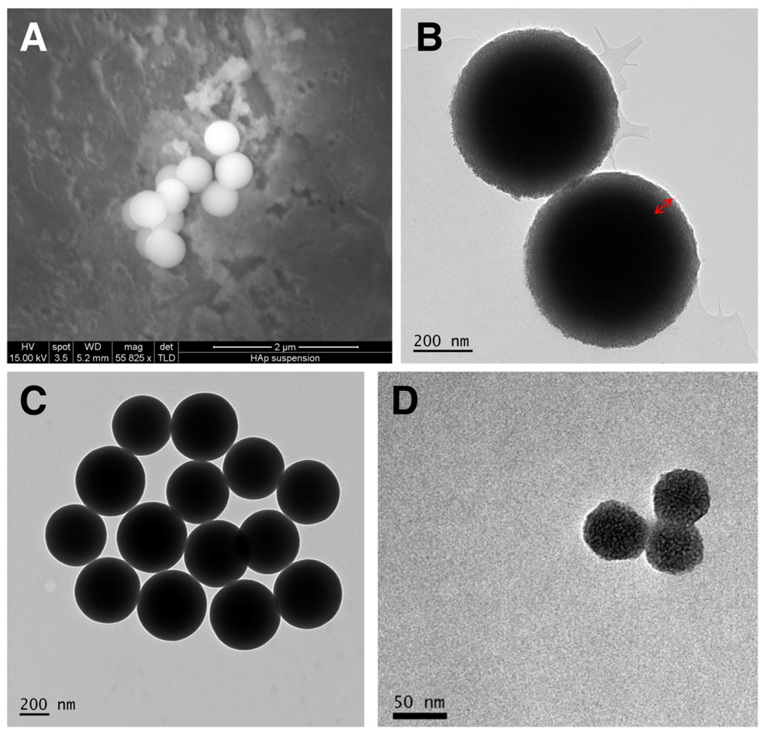 Vaccines 12 00410 g002