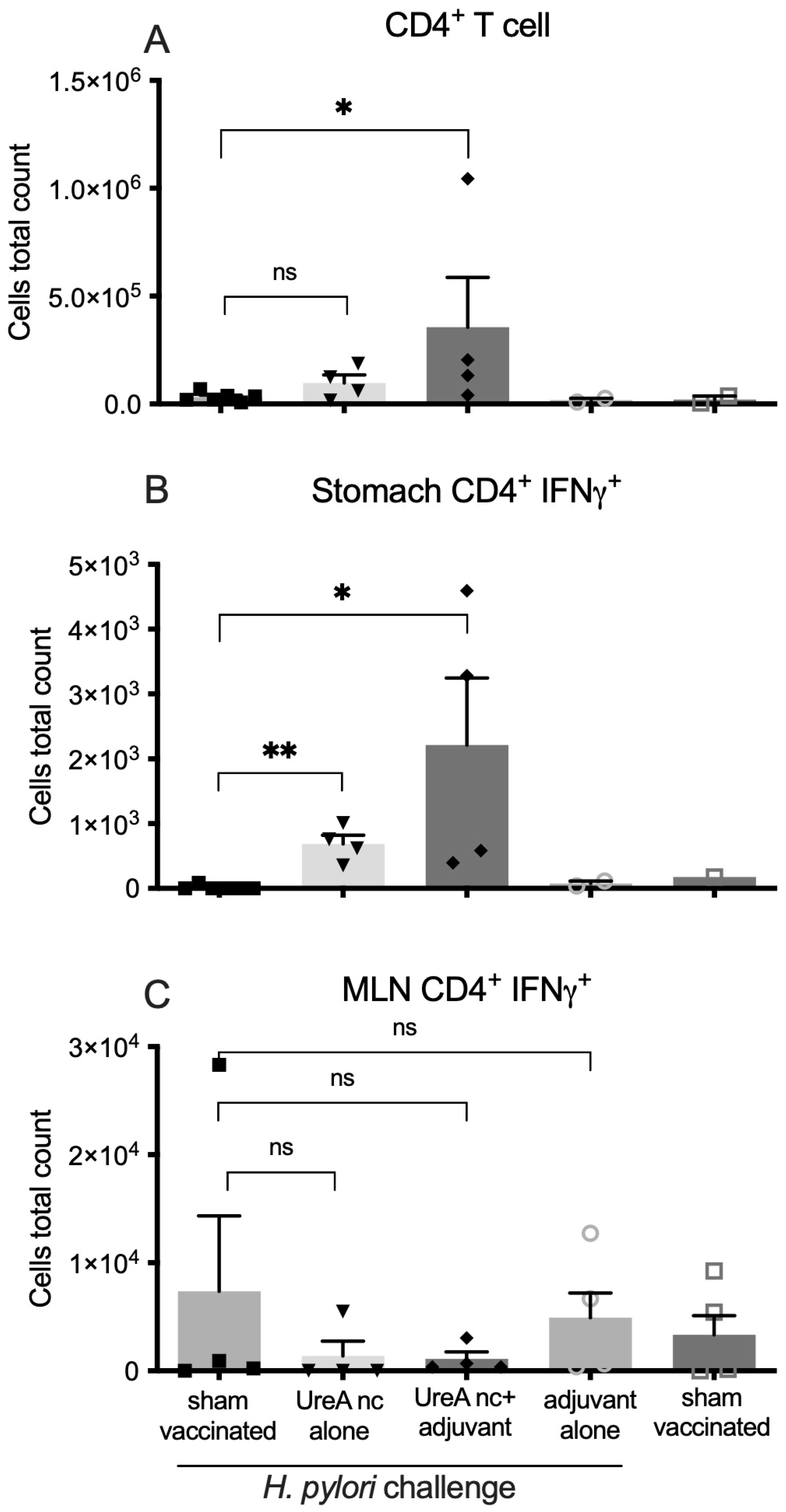 Vaccines 12 00410 g005