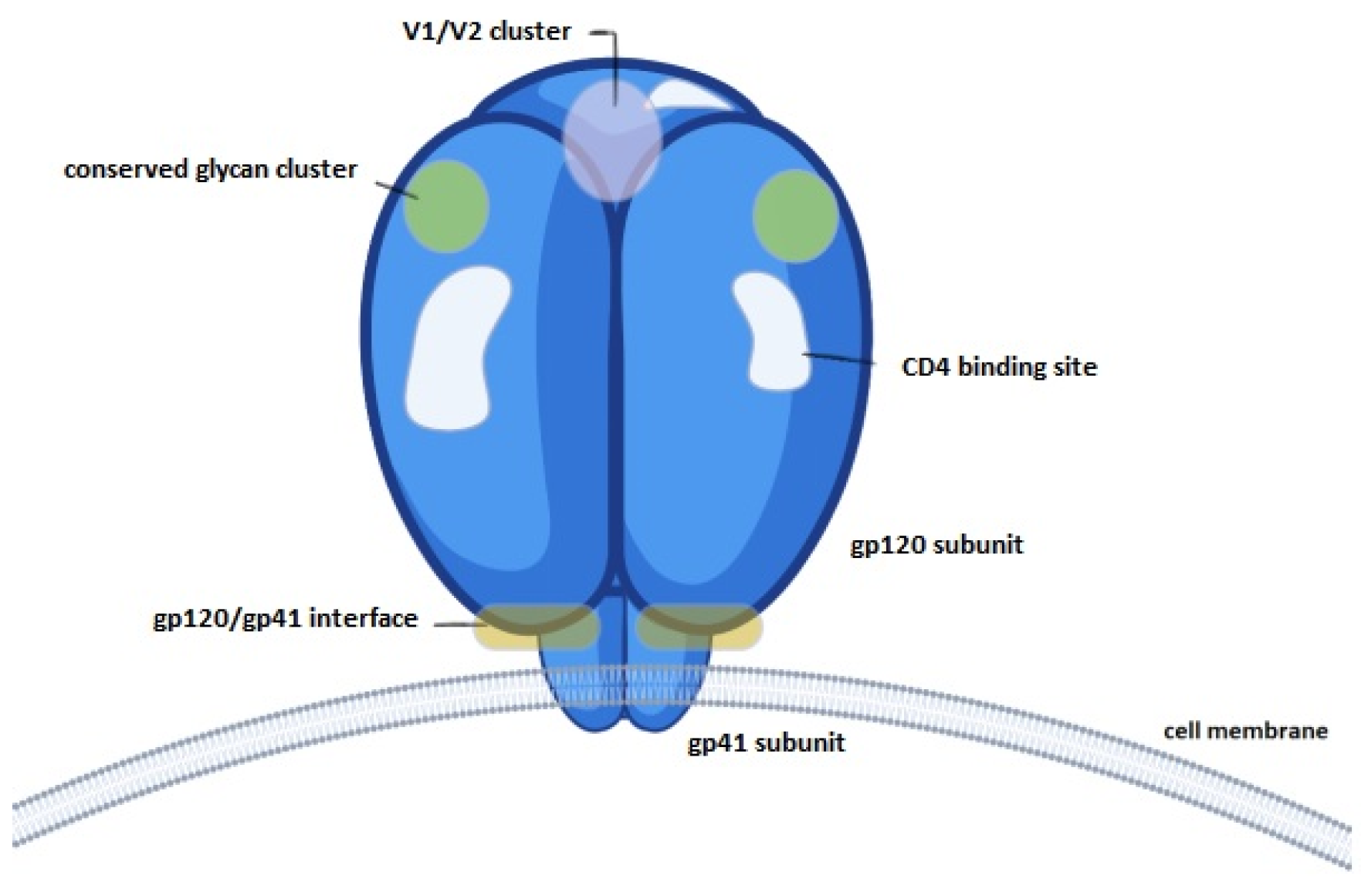 Vaccines 12 00410 g009
