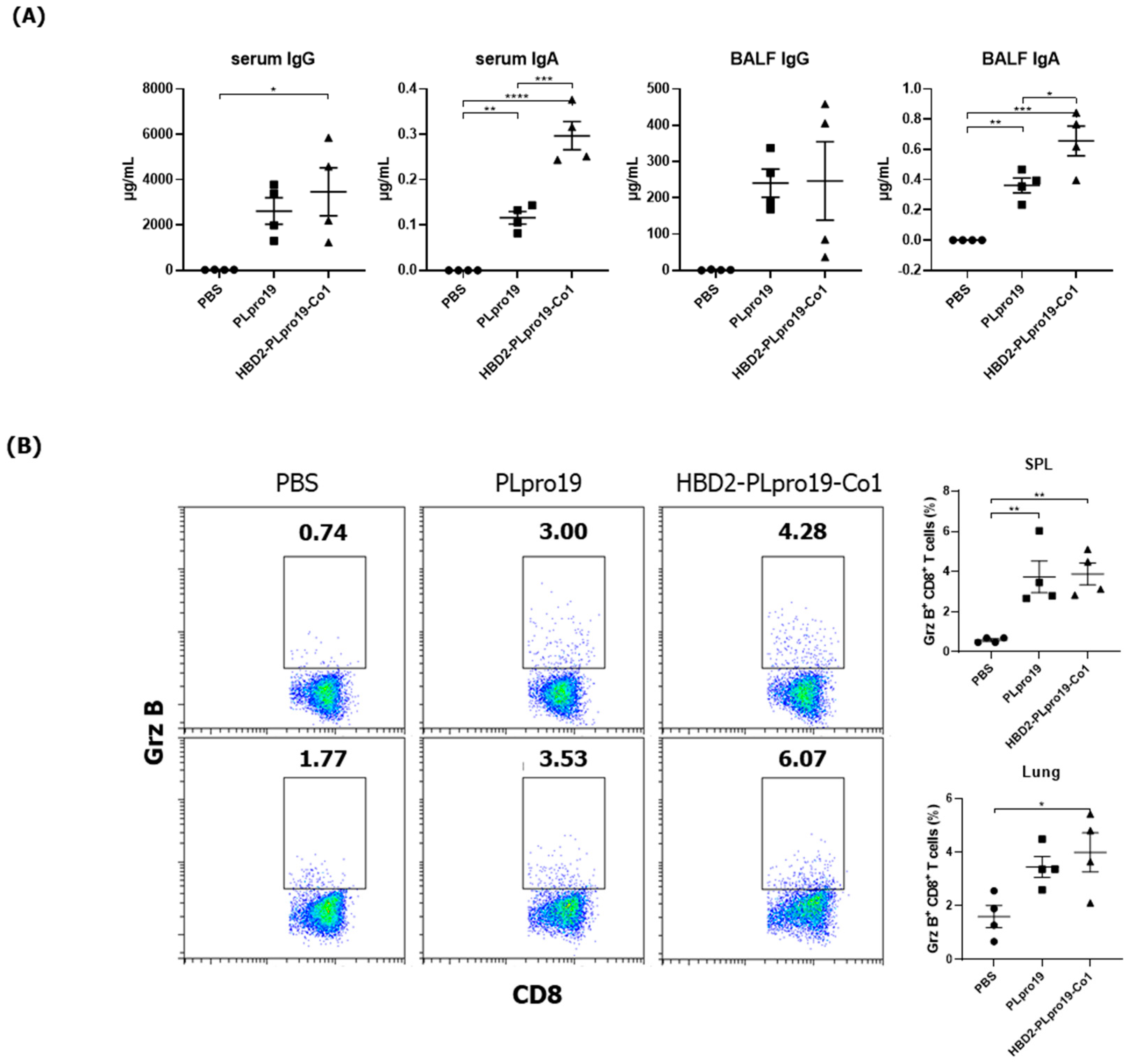 Vaccines 12 00441 g004a