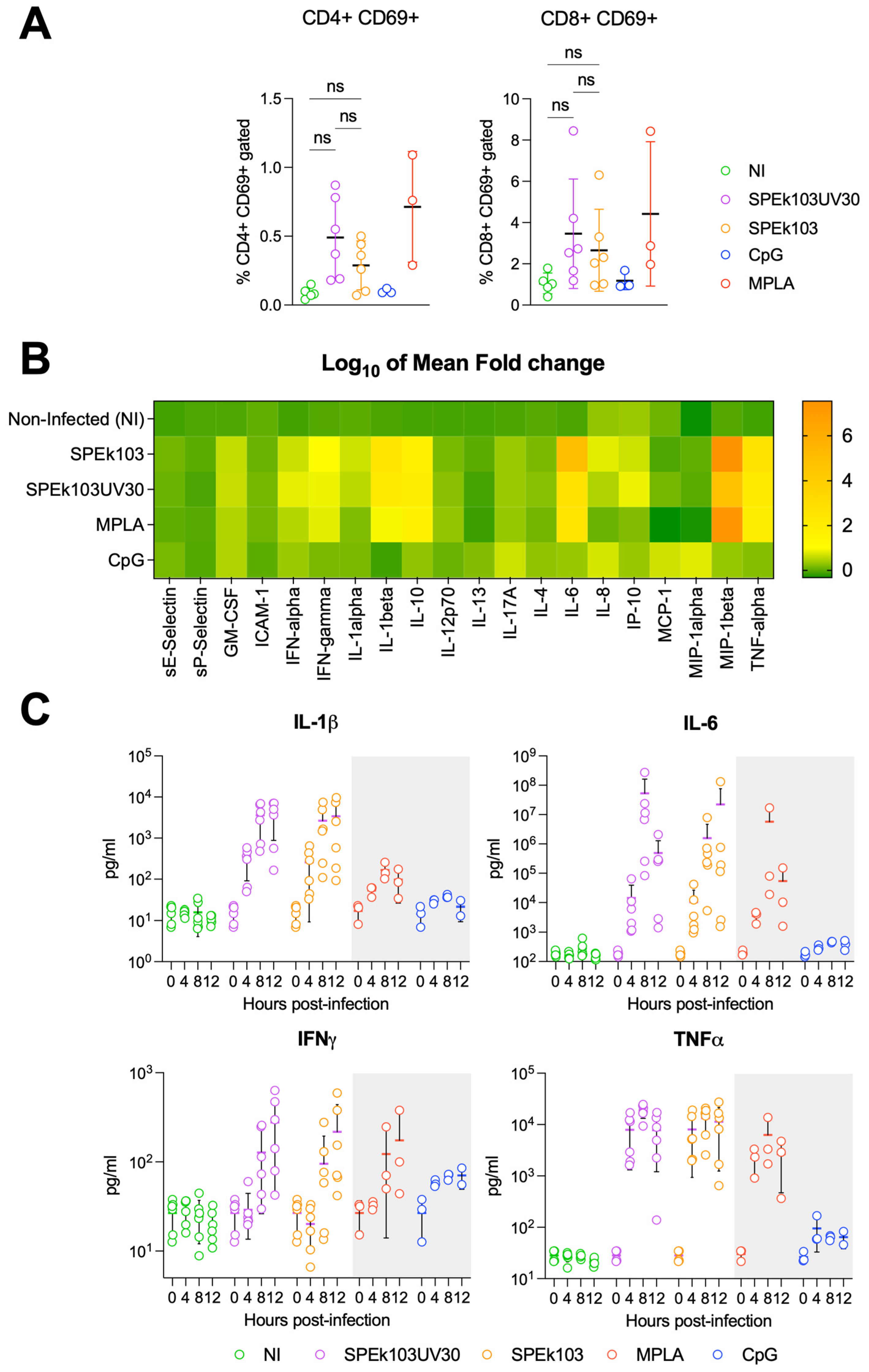 Vaccines 12 00490 g002