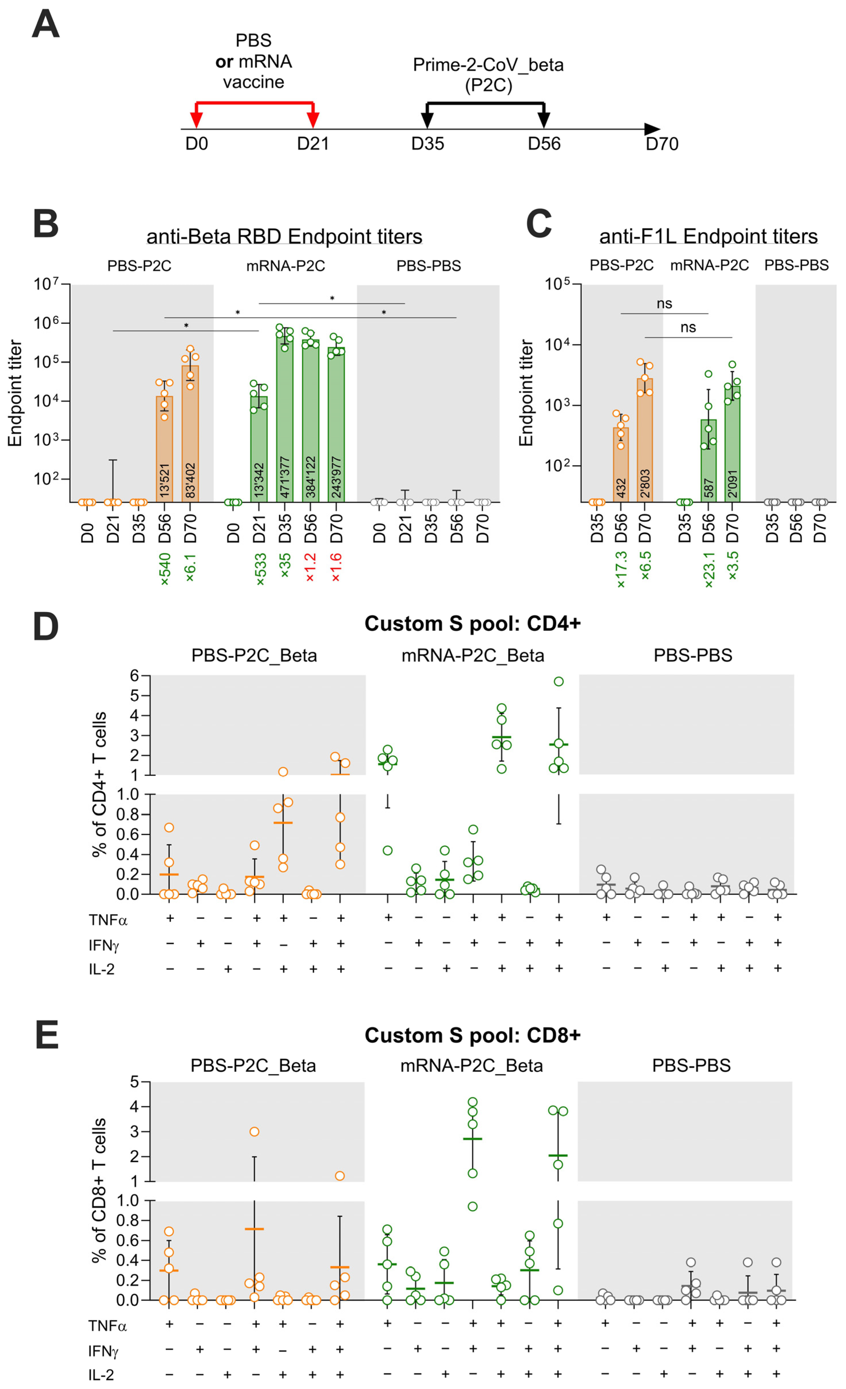 Vaccines 12 00490 g003