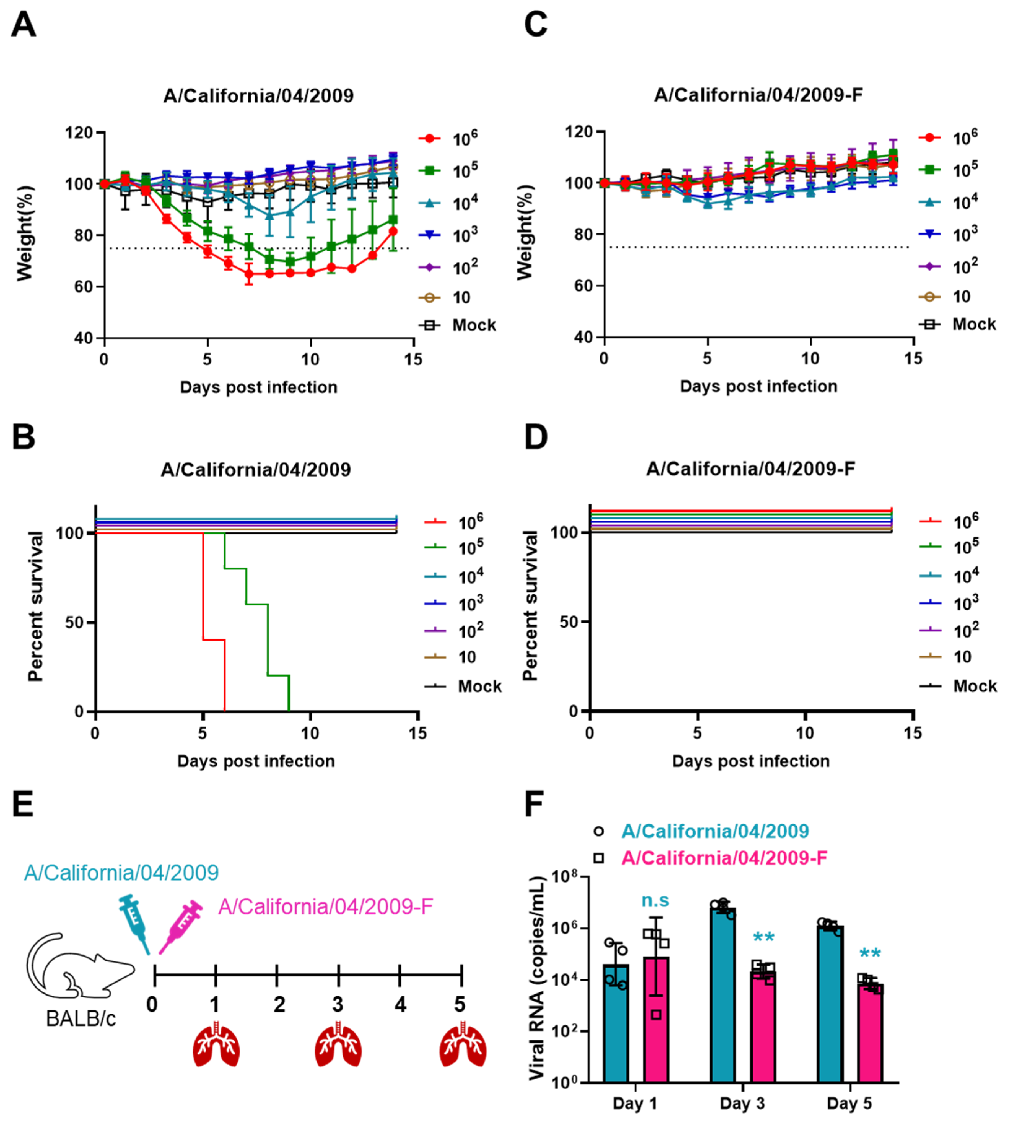 Vaccines 12 00512 g003 Vaccines 12 00512 g003