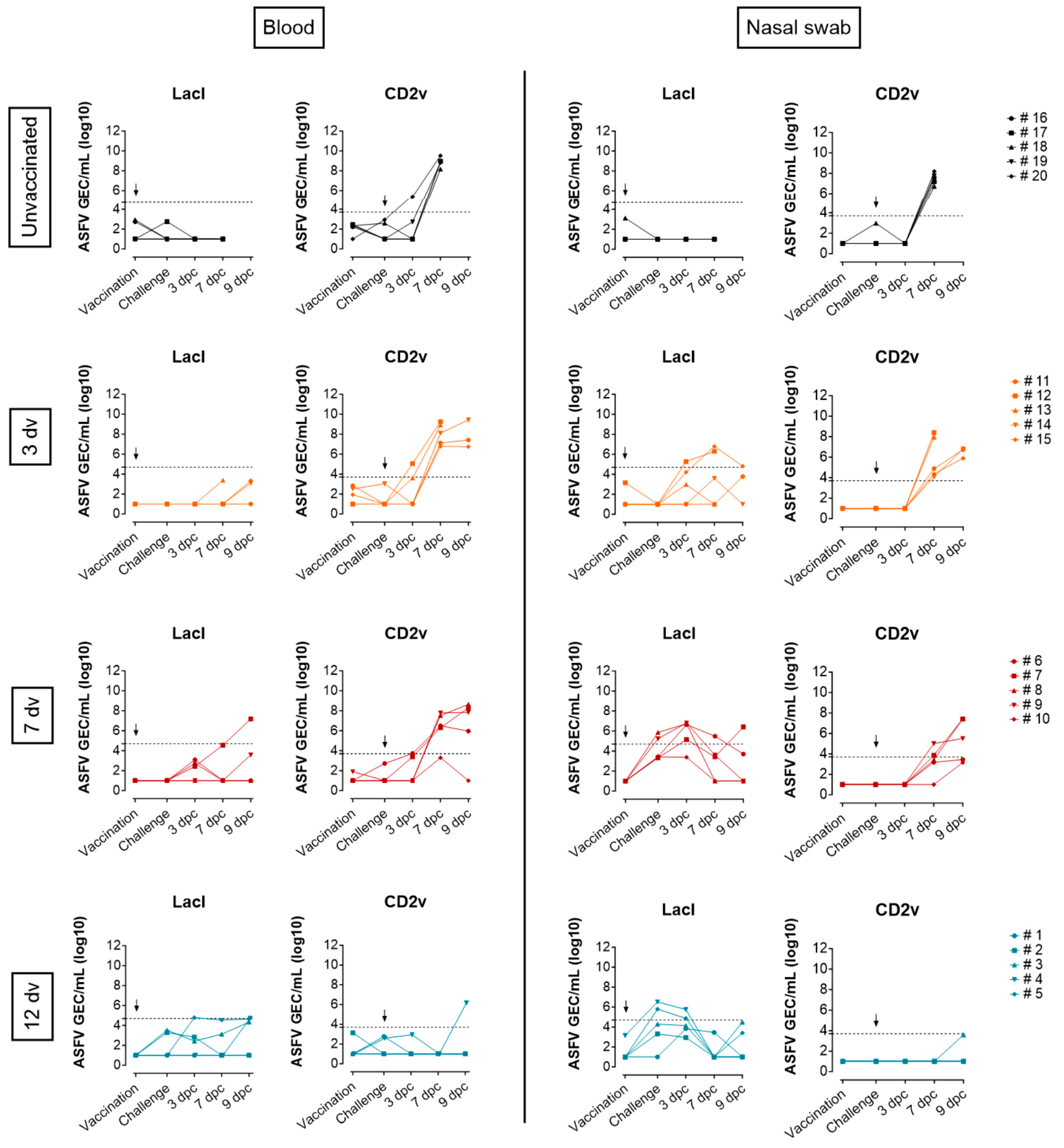 Vaccines 12 00517 g002
