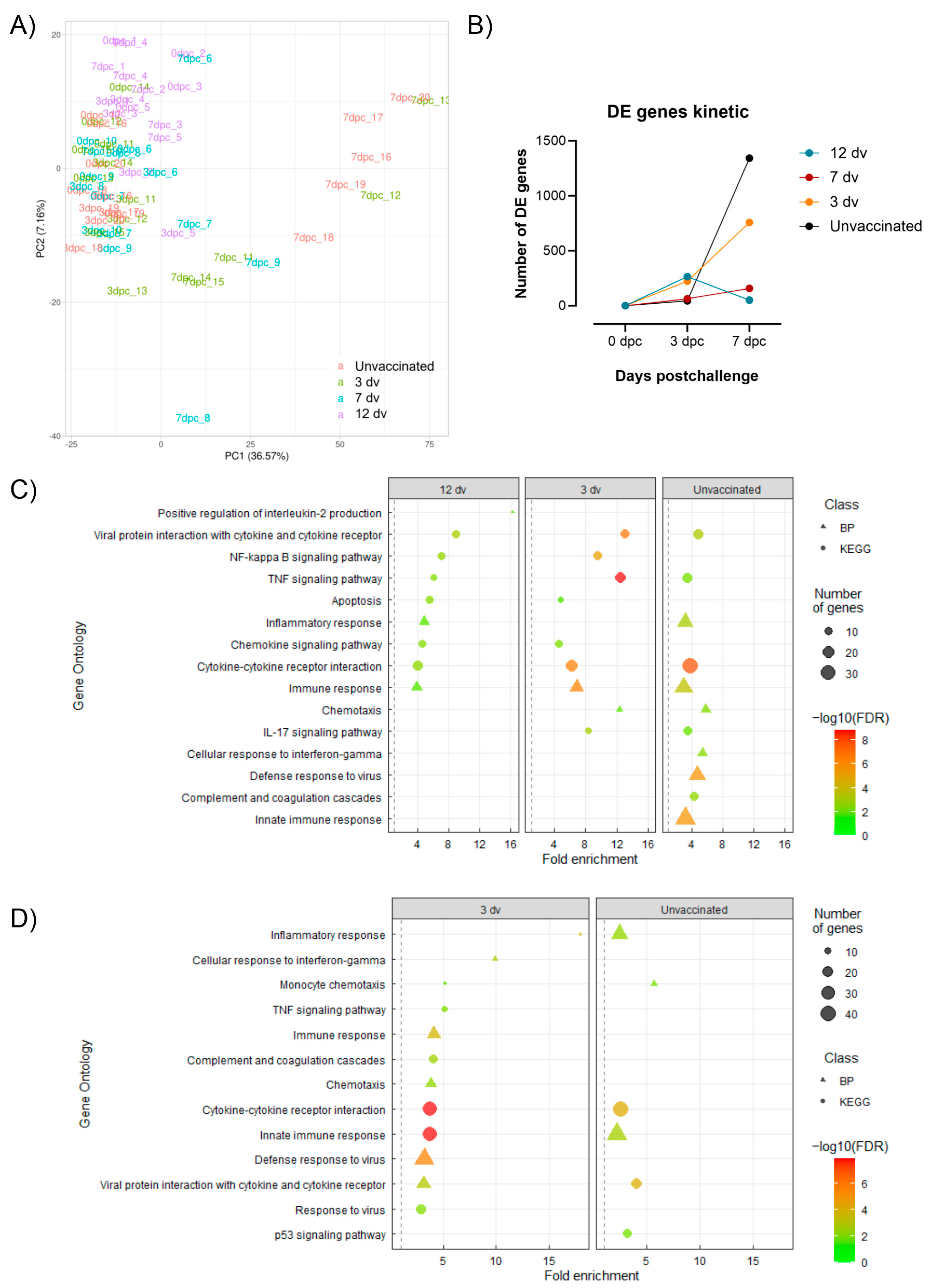 Vaccines 12 00517 g004