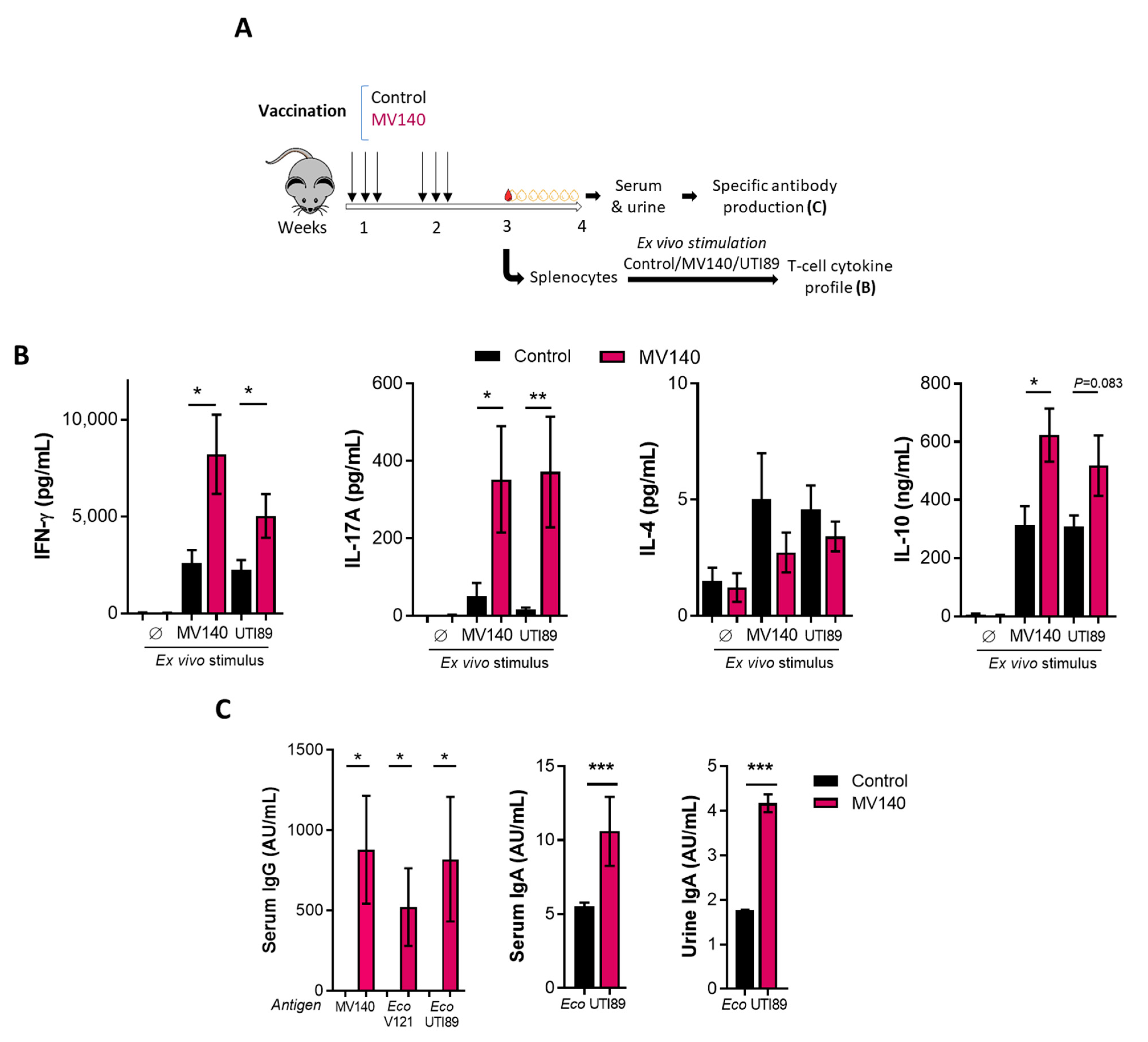 Vaccines 12 00535 g001