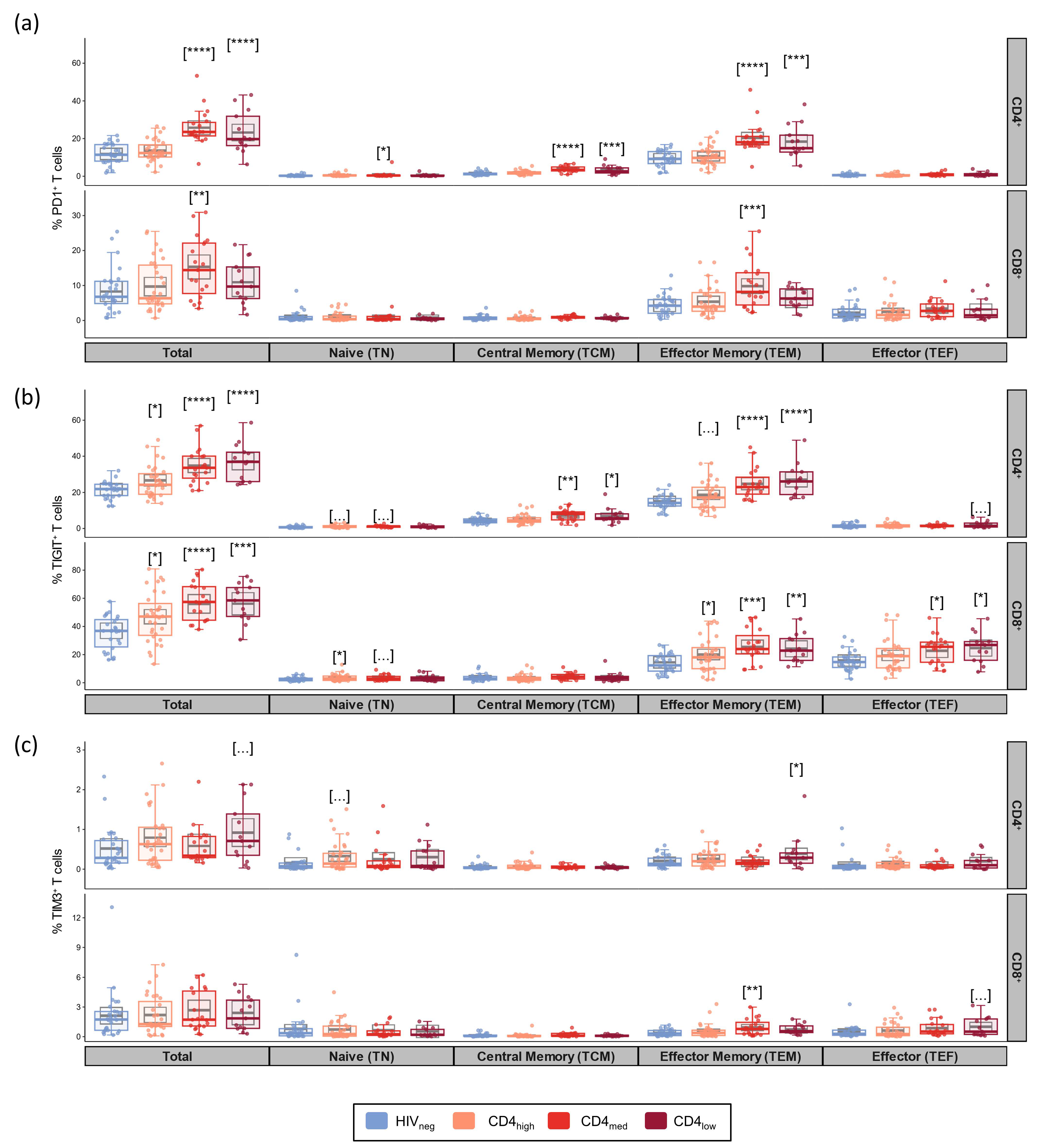 Vaccines 12 00578 g001