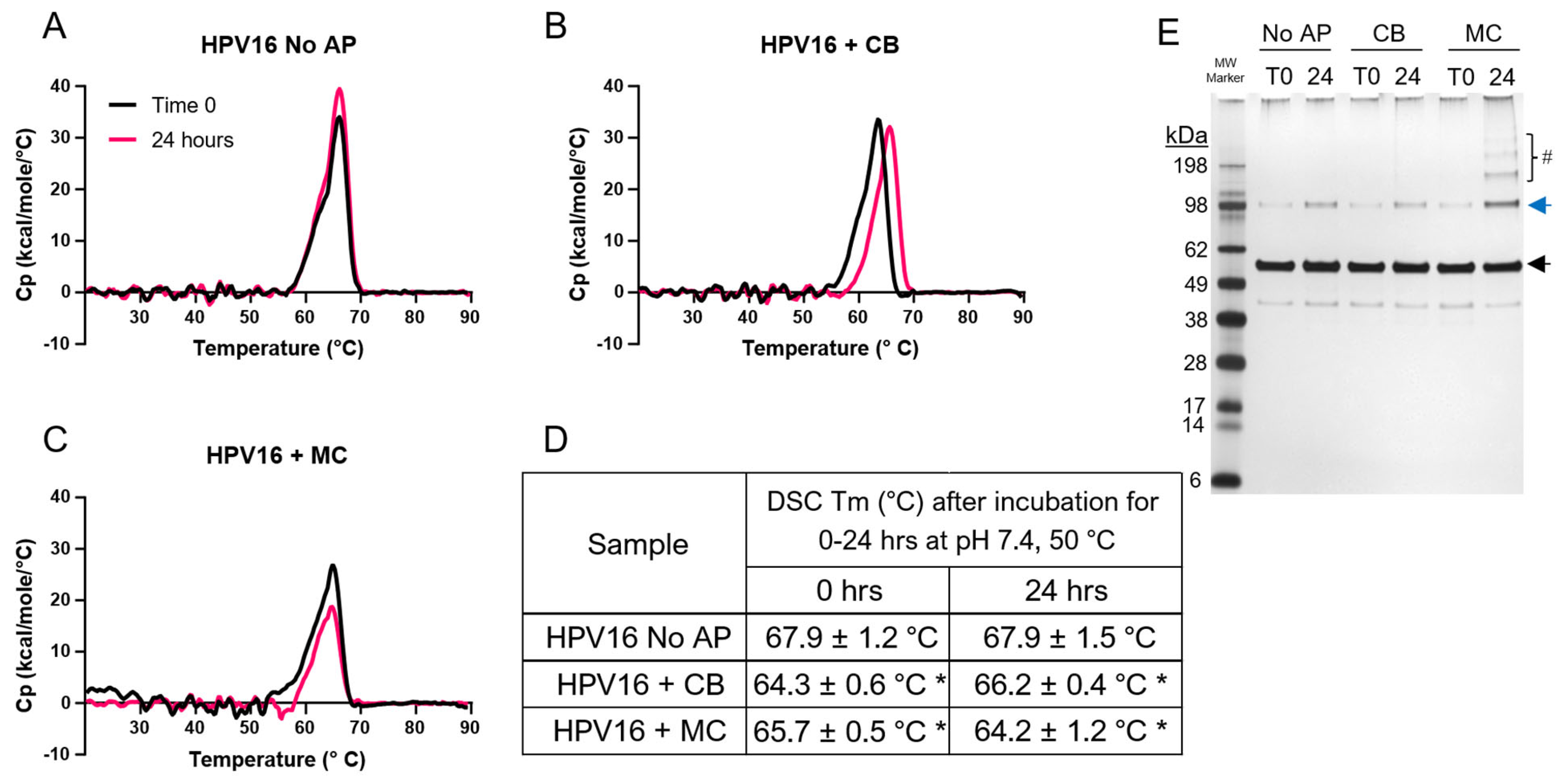 Vaccines 12 00580 g002