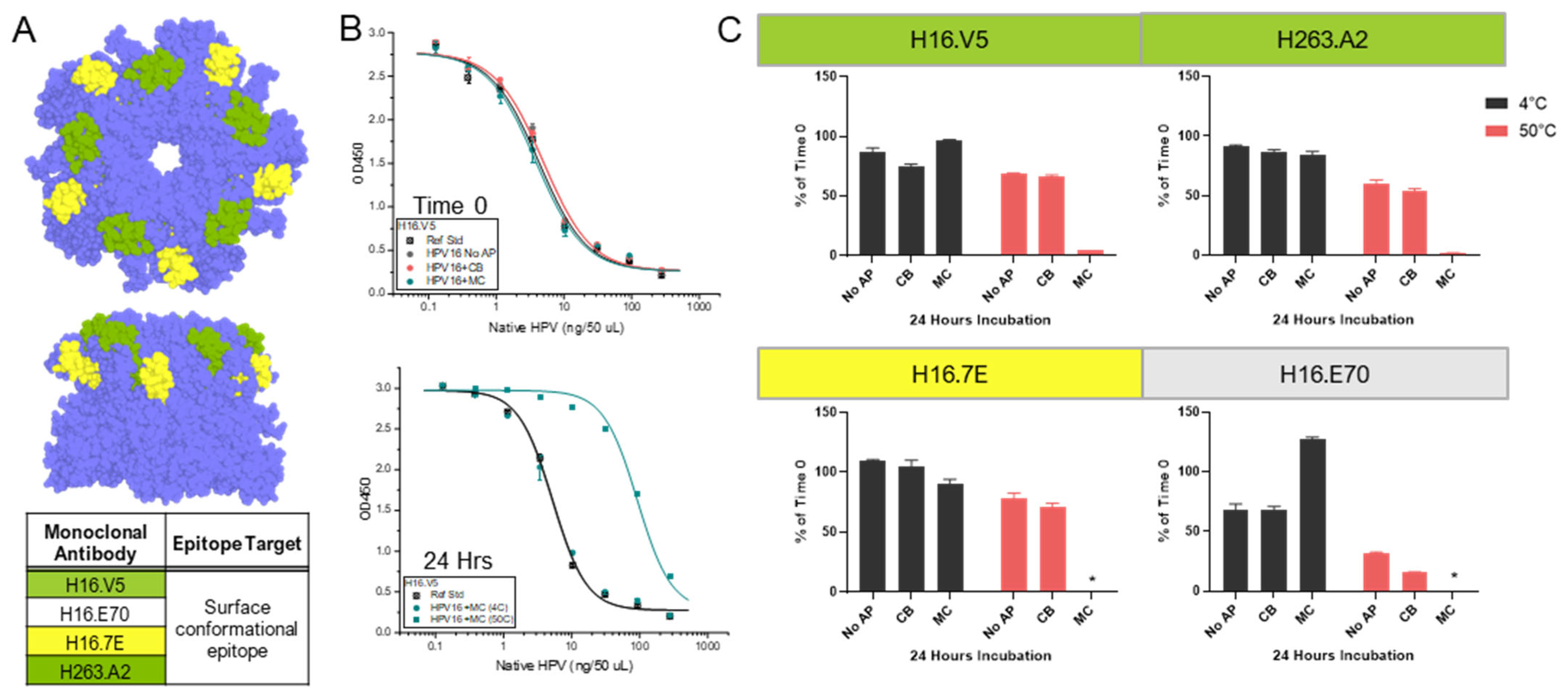 Vaccines 12 00580 g003
