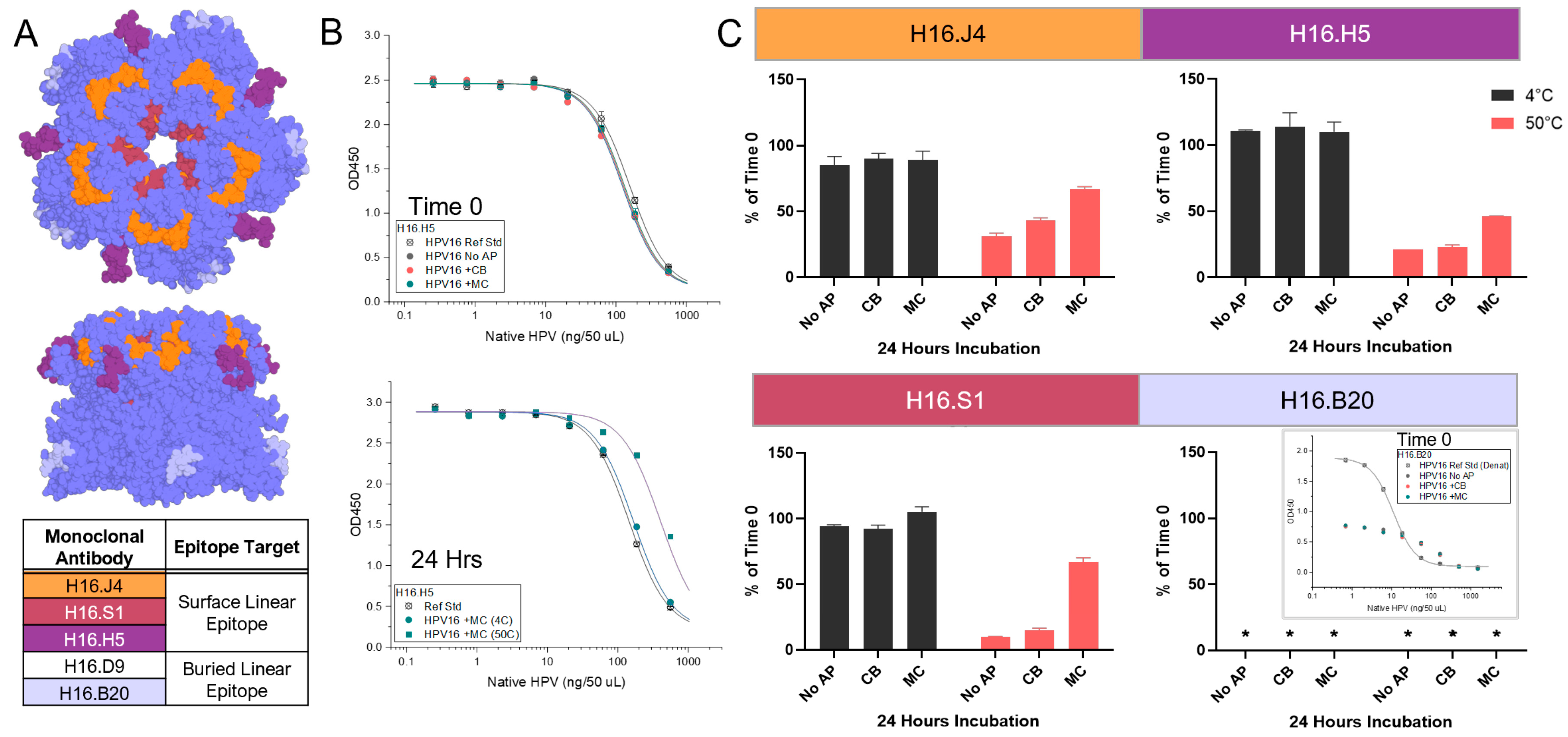 Vaccines 12 00580 g004