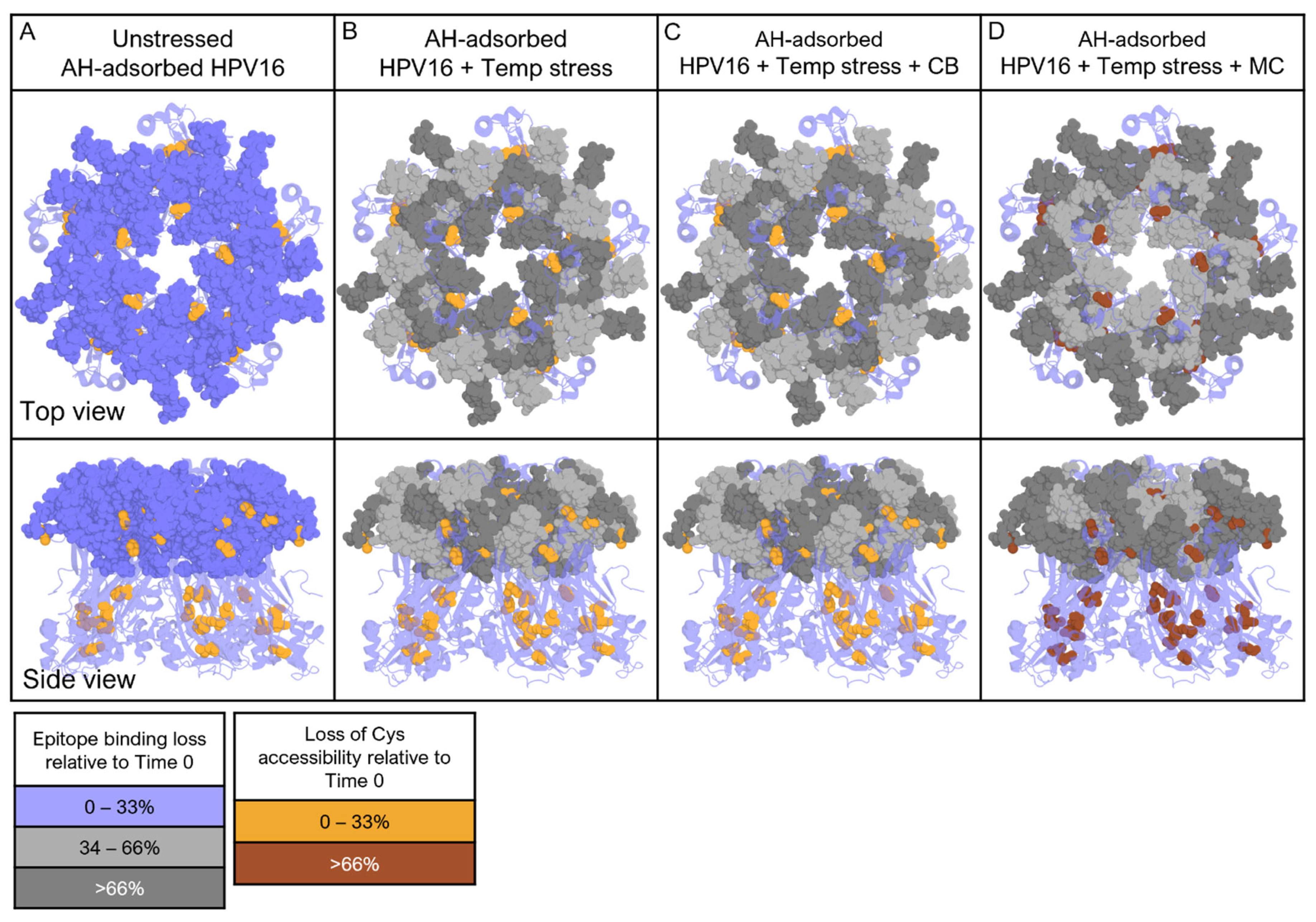 Vaccines 12 00580 g008