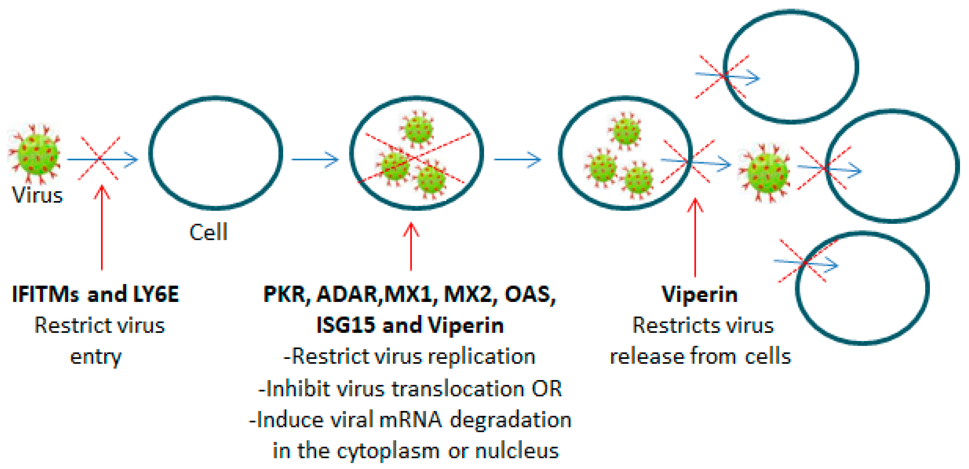 Vaccines 12 00583 g002