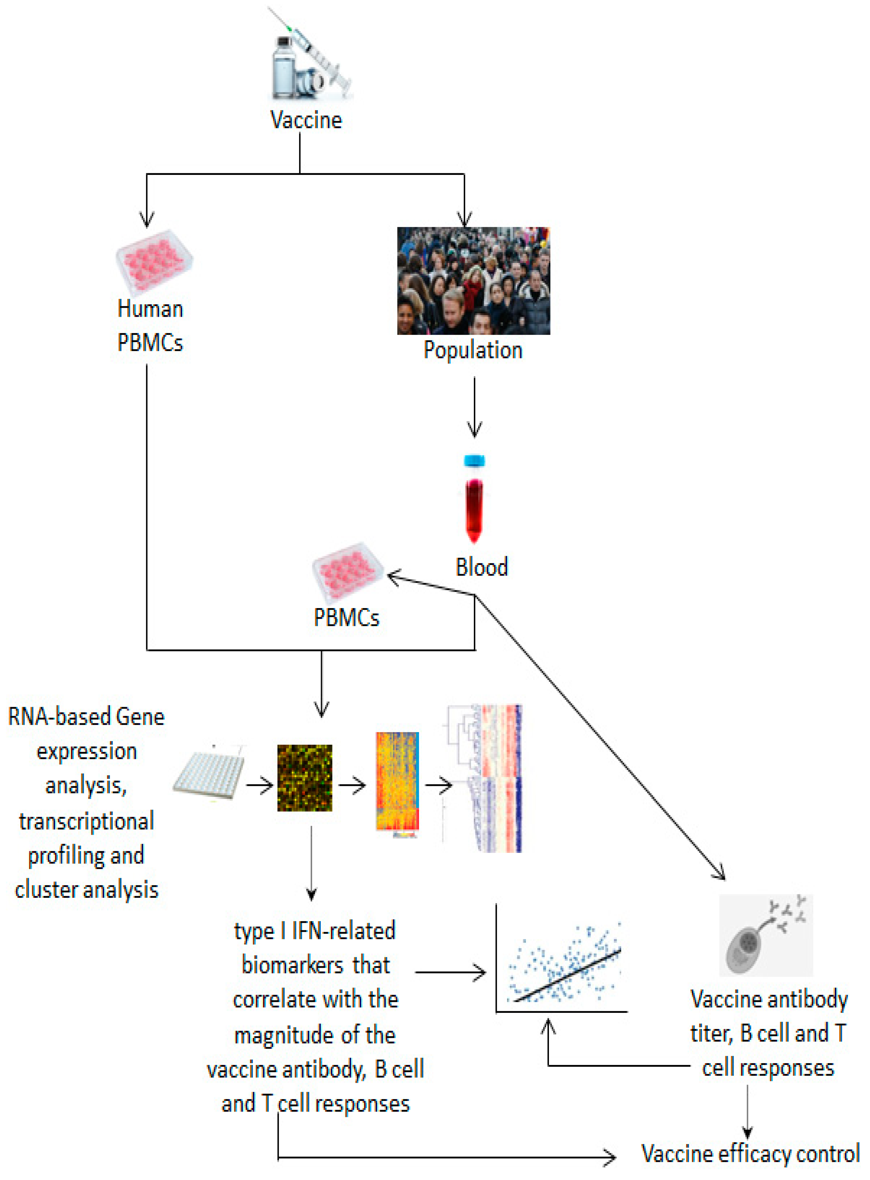 Vaccines 12 00583 g003