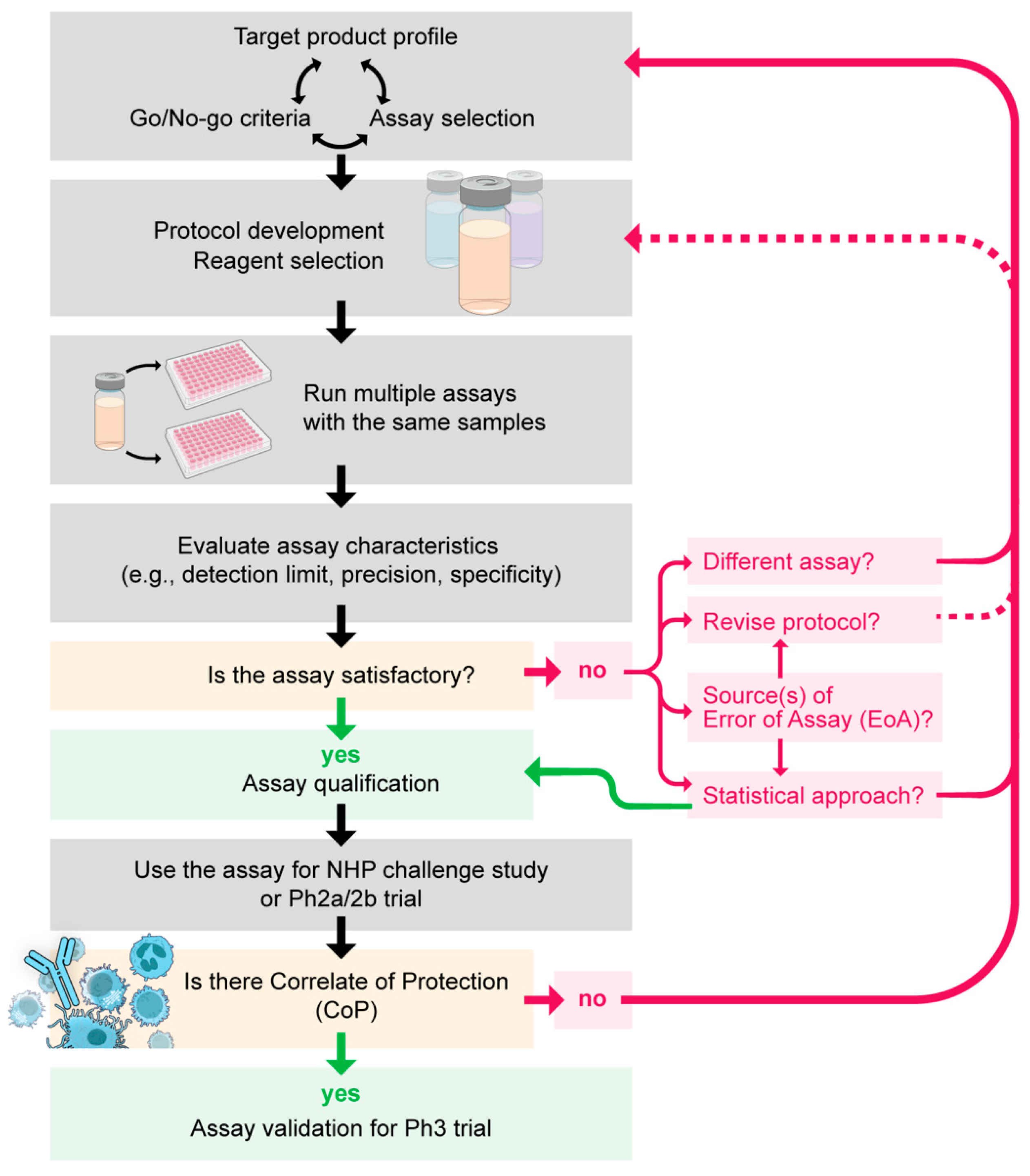 Vaccines 12 00586 g001