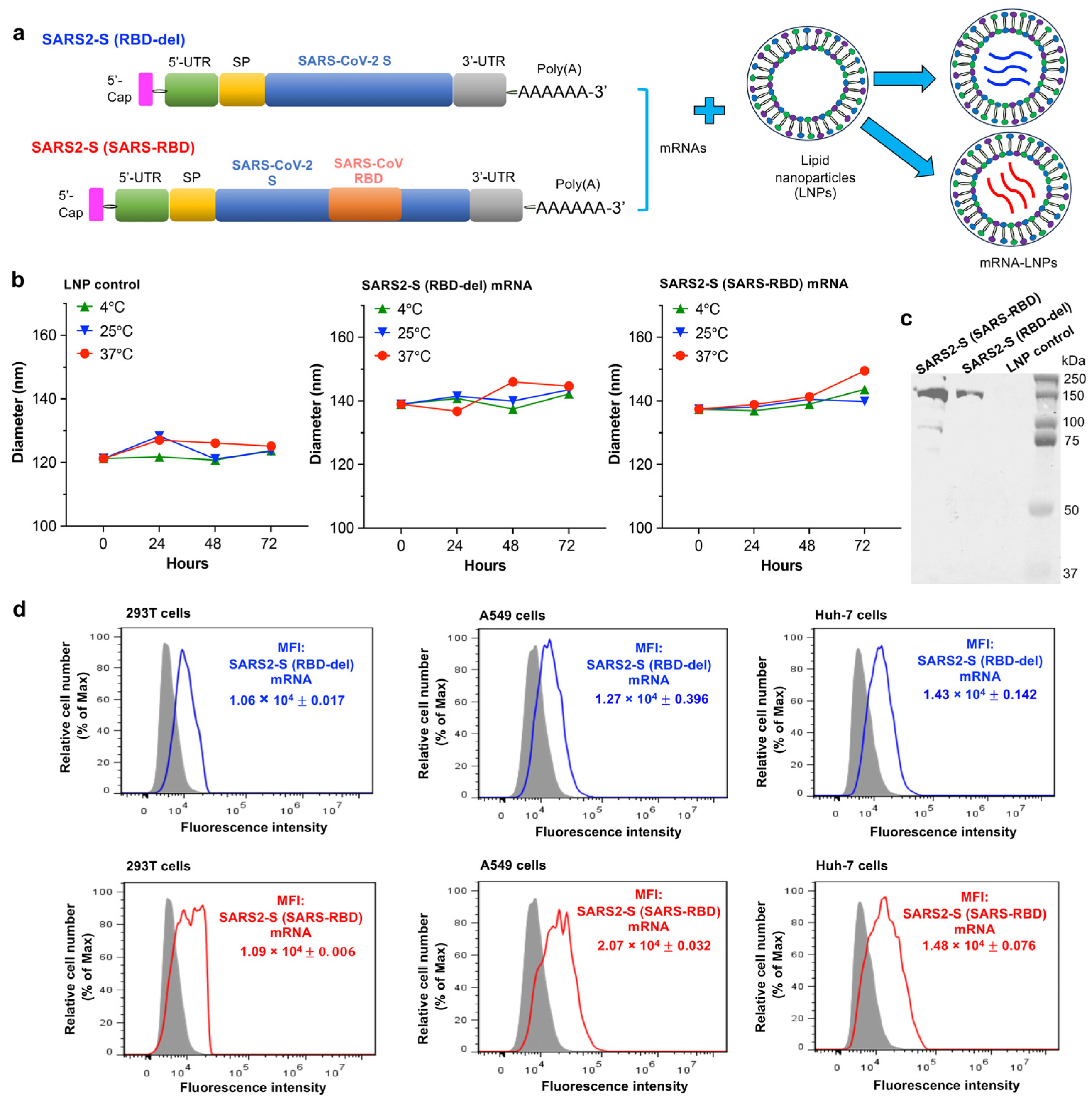 Vaccines 12 00605 g001