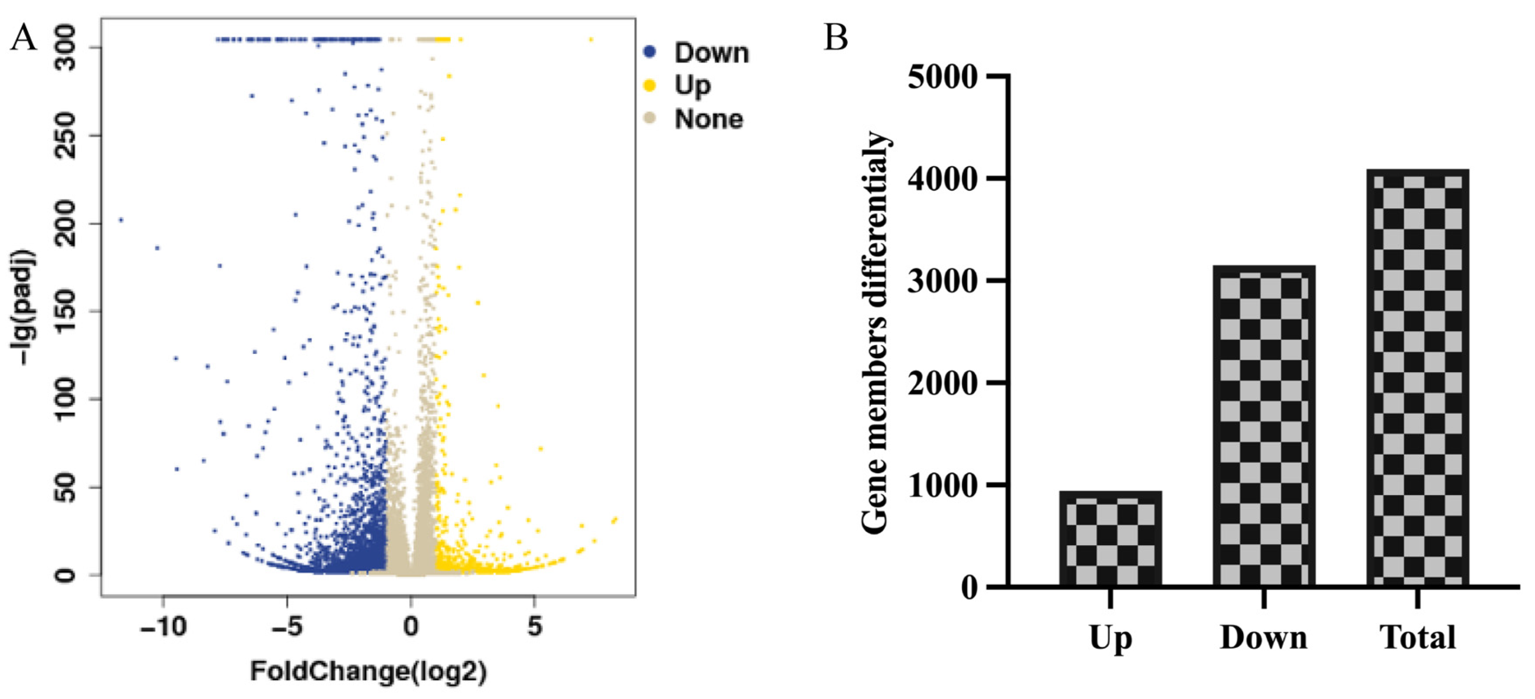 Vaccines 12 00607 g003