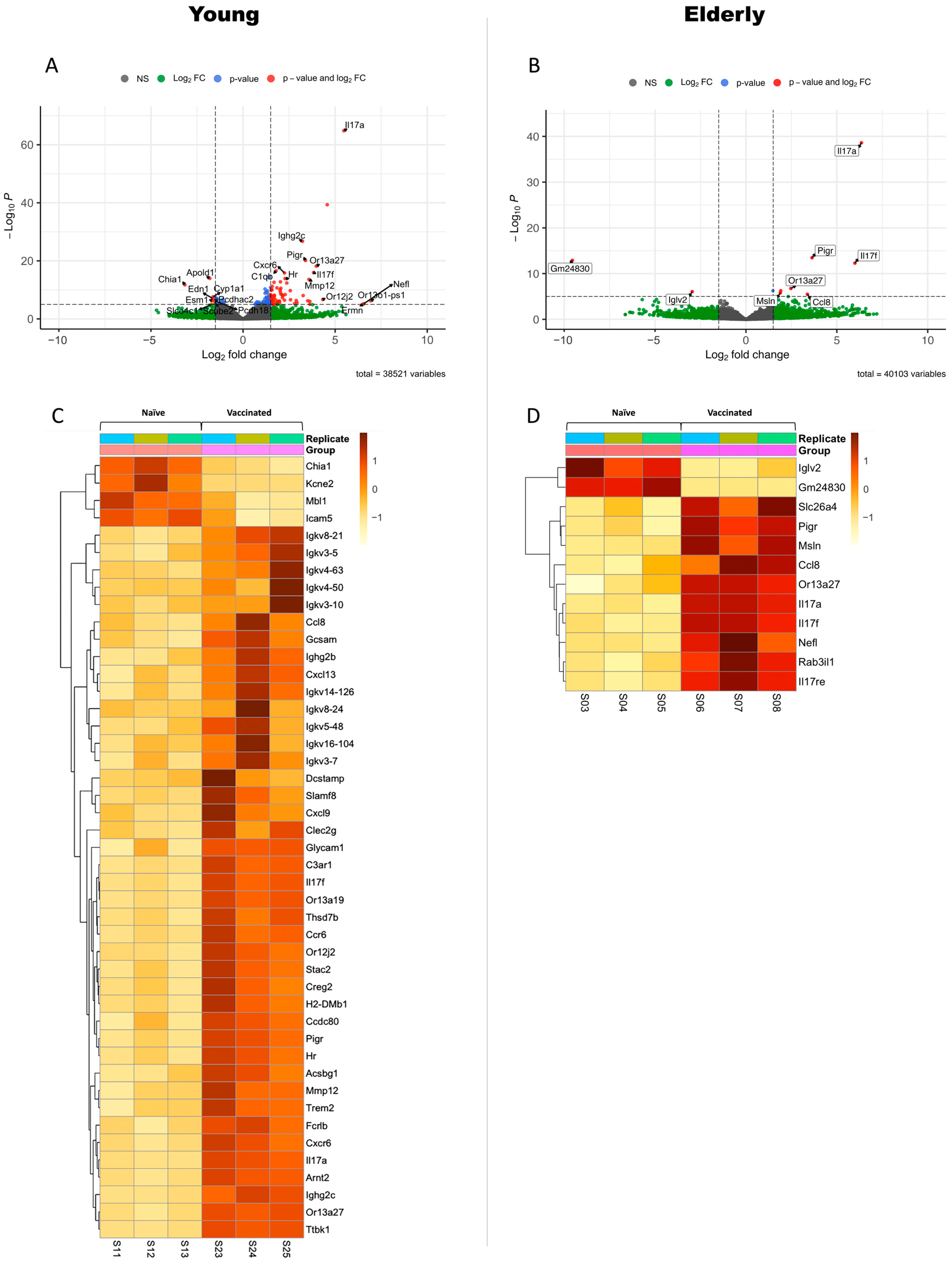 Vaccines 12 00618 g004