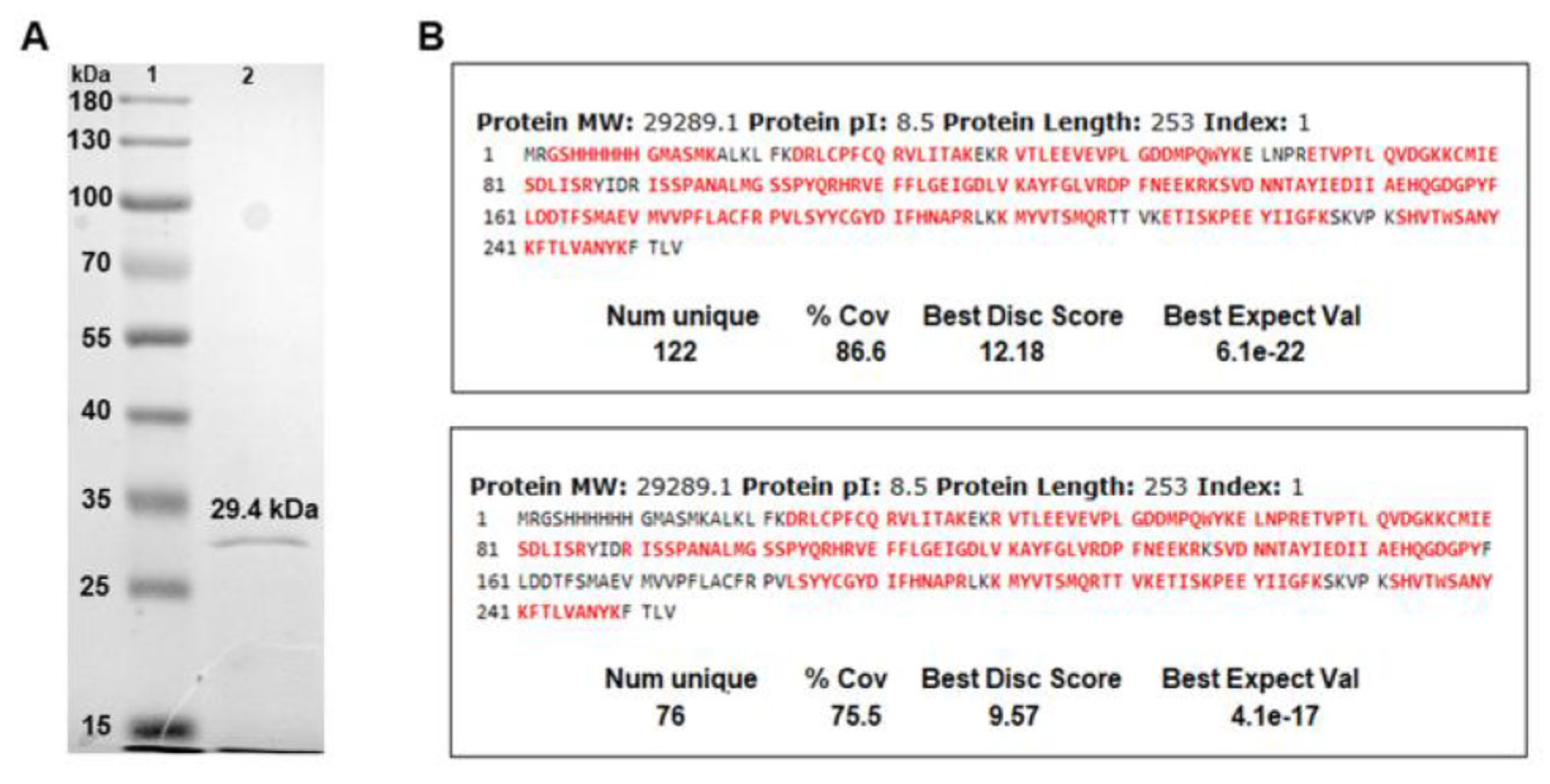 Vaccines 12 00621 g002