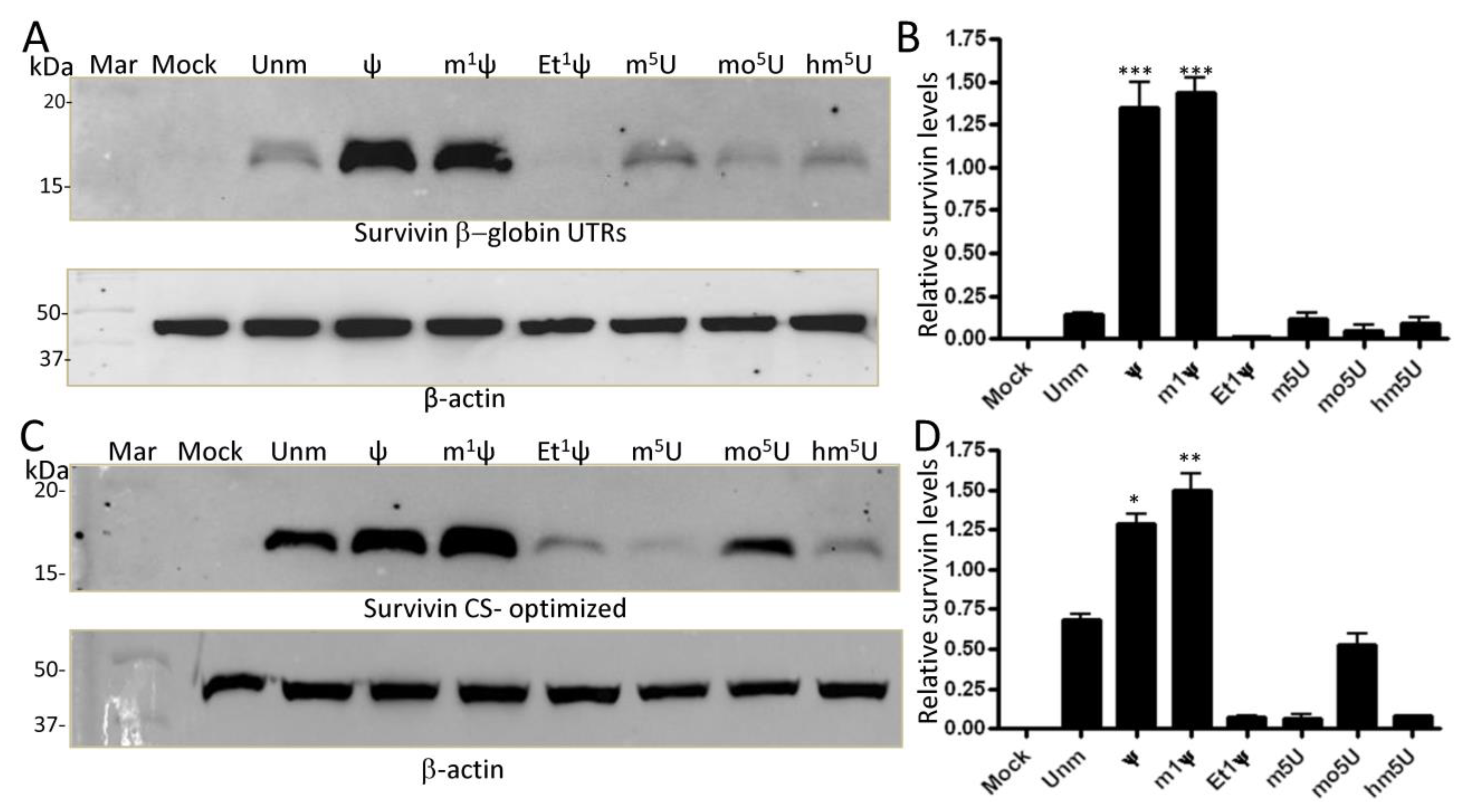 Vaccines 12 00624 g005
