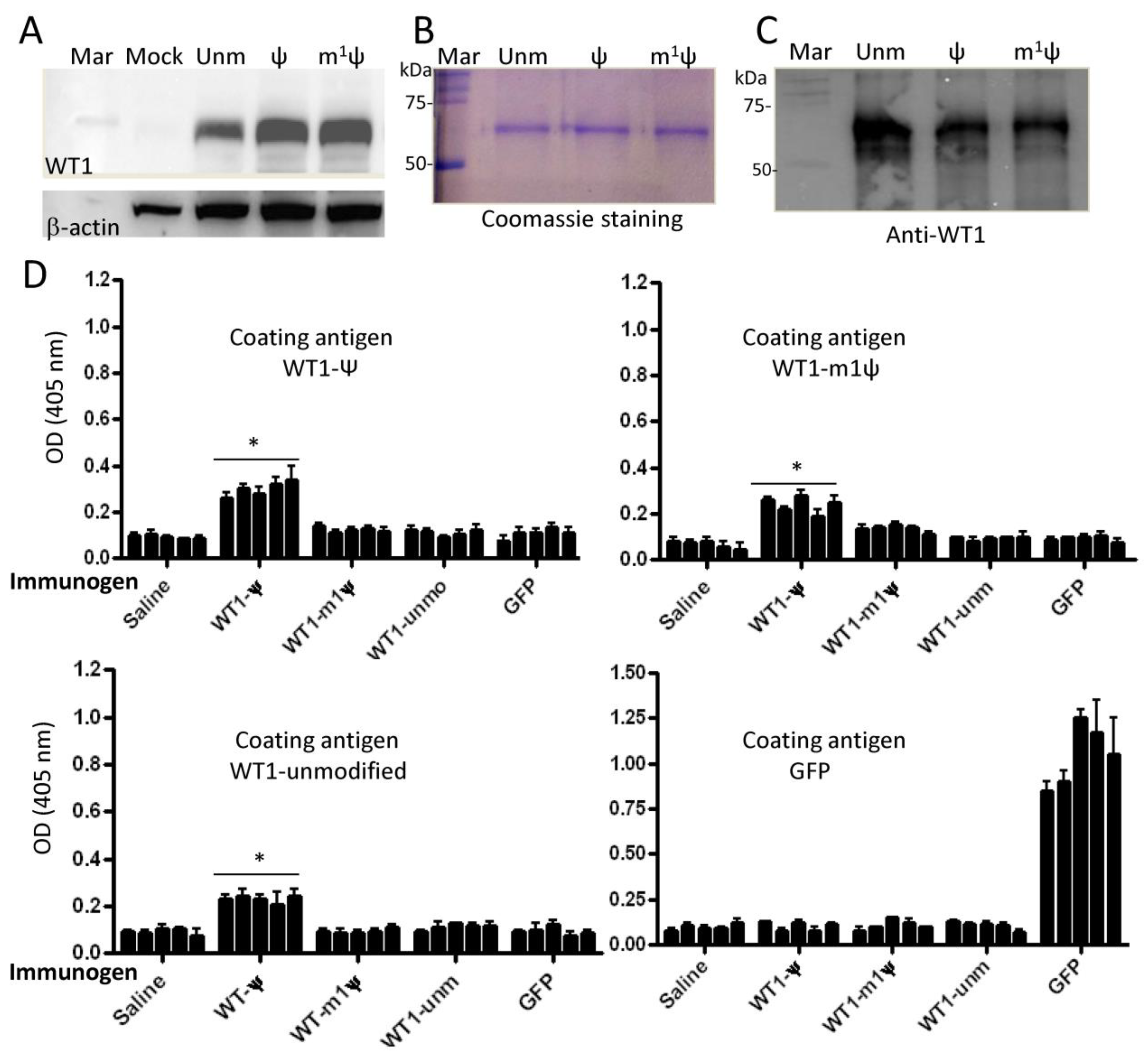 Vaccines 12 00624 g006