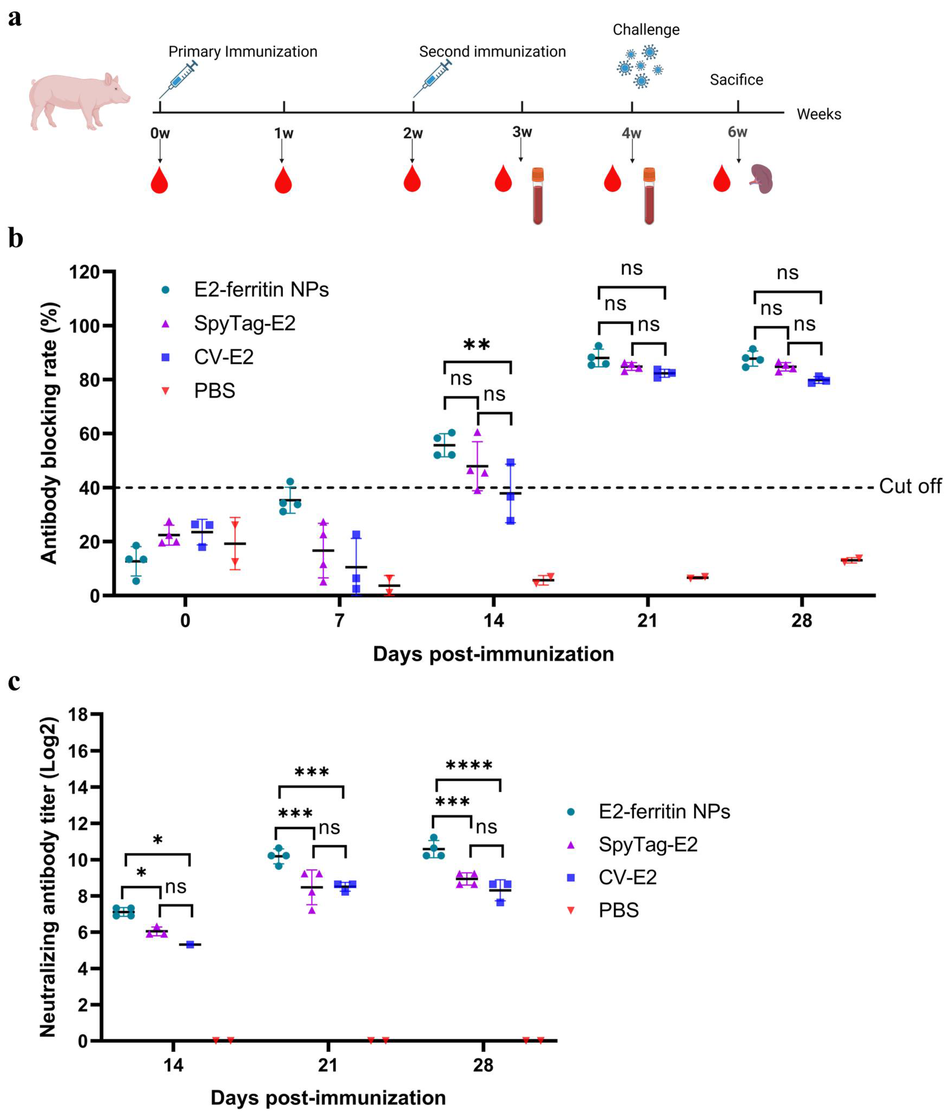 Vaccines 12 00629 g003
