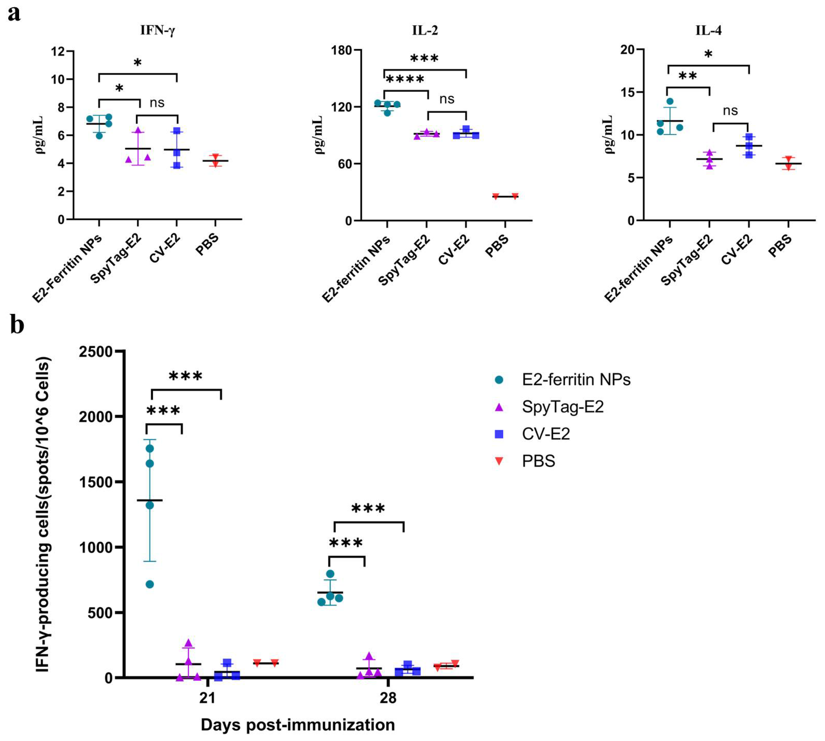 Vaccines 12 00629 g004