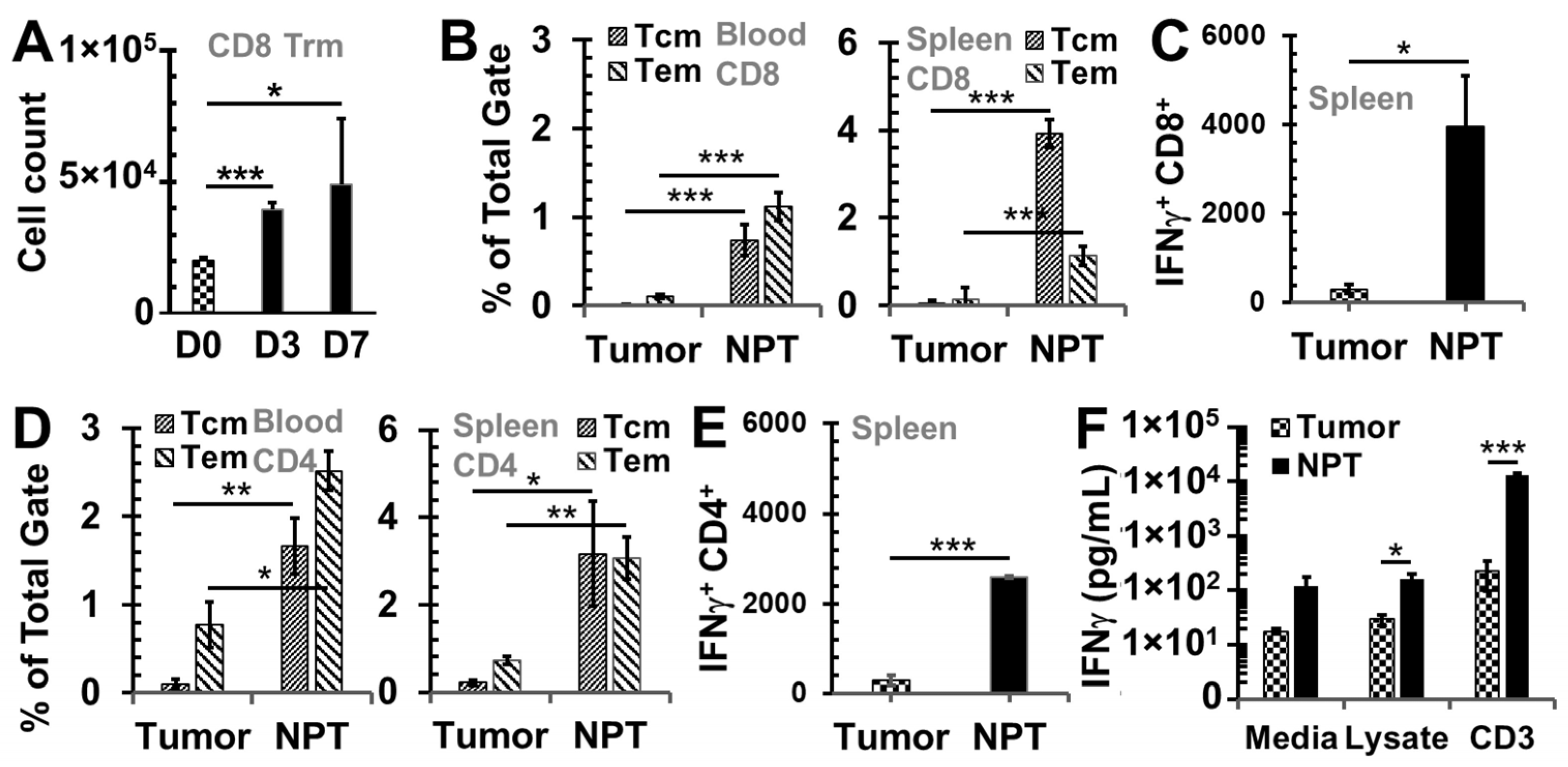 Vaccines 12 00633 g002