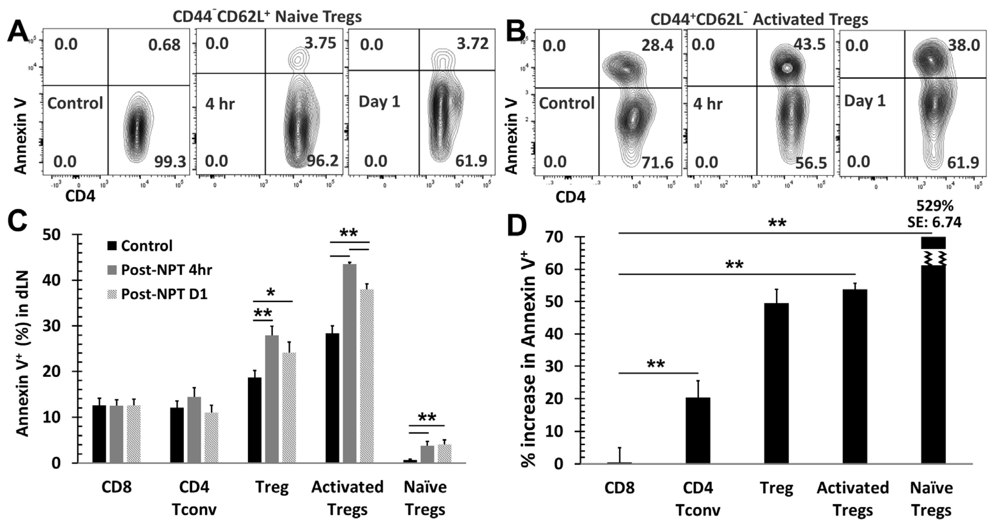 Vaccines 12 00633 g004
