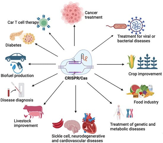 Vaccines | Free Full-Text | Precision in Action: The Role of 