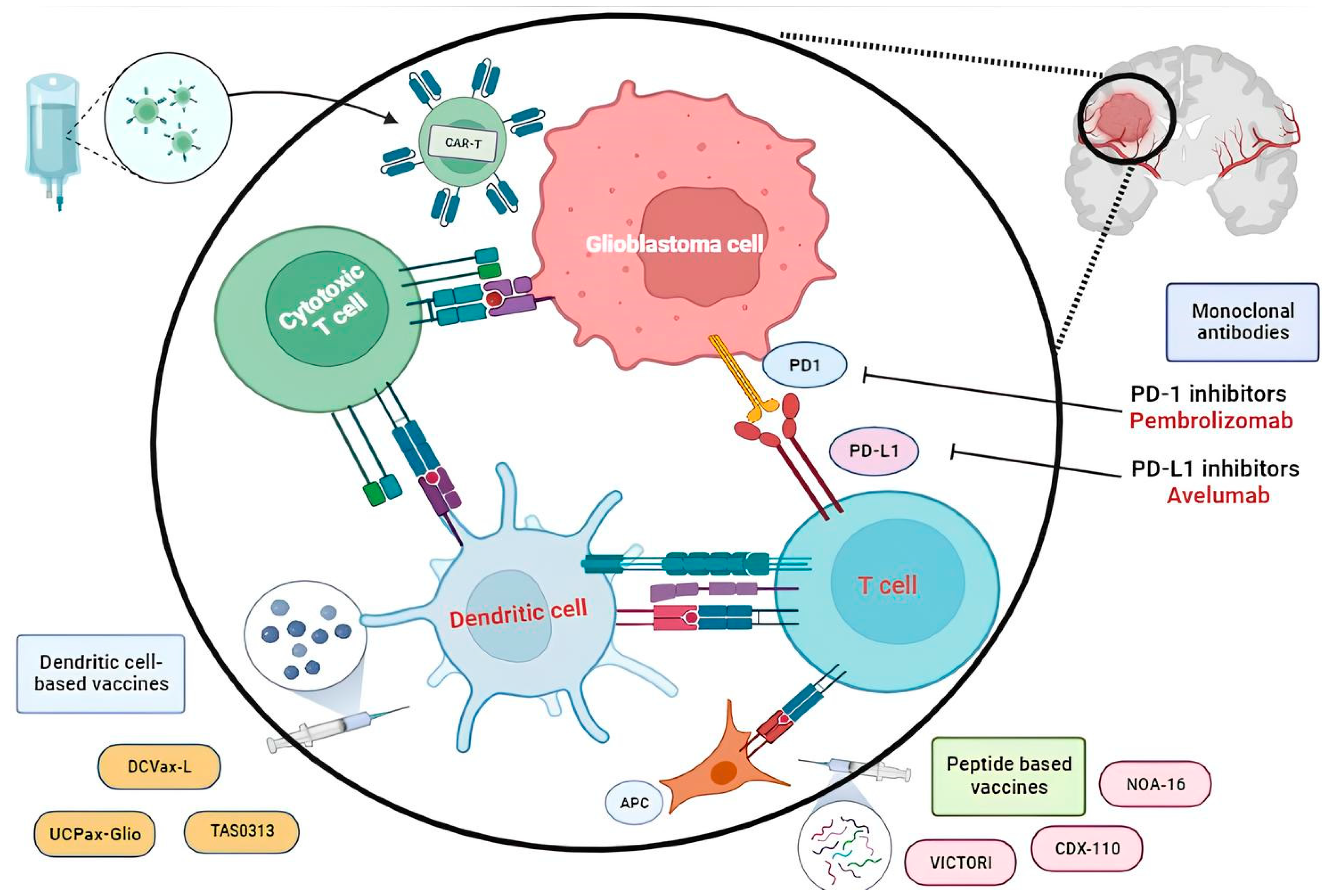 Vaccines 12 00655 g001