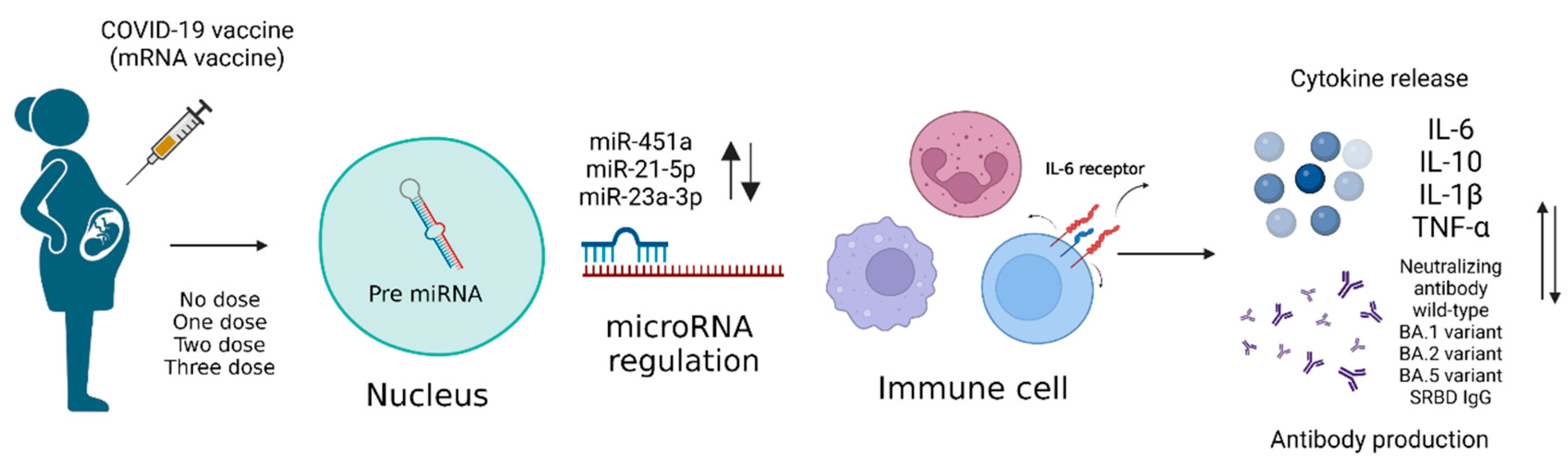 Vaccines 12 00658 g001