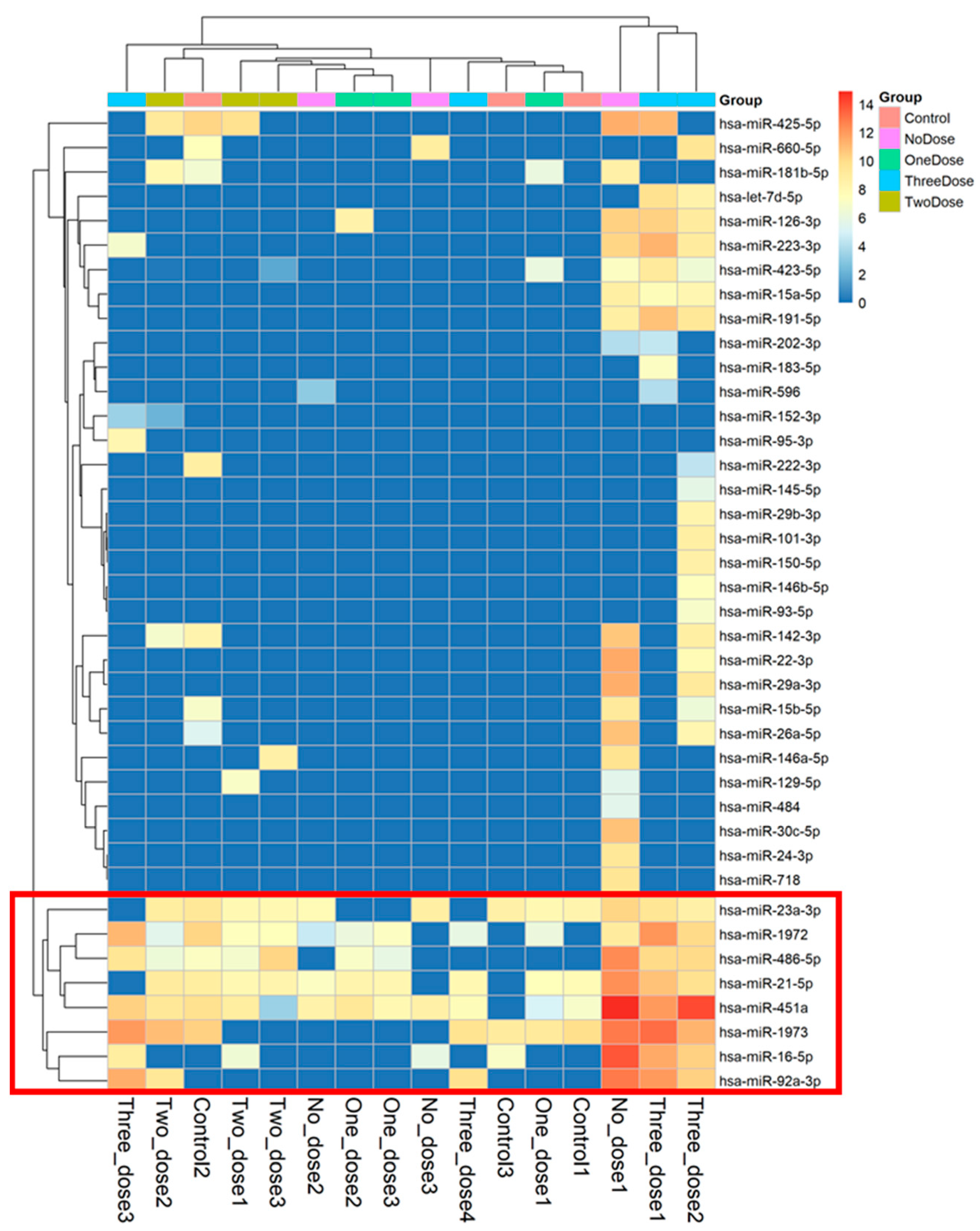 Vaccines 12 00658 g002