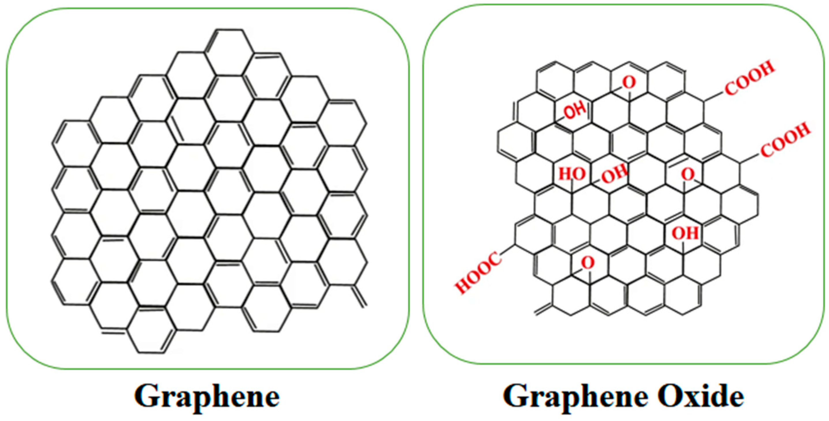 Vaccines 12 00660 g001