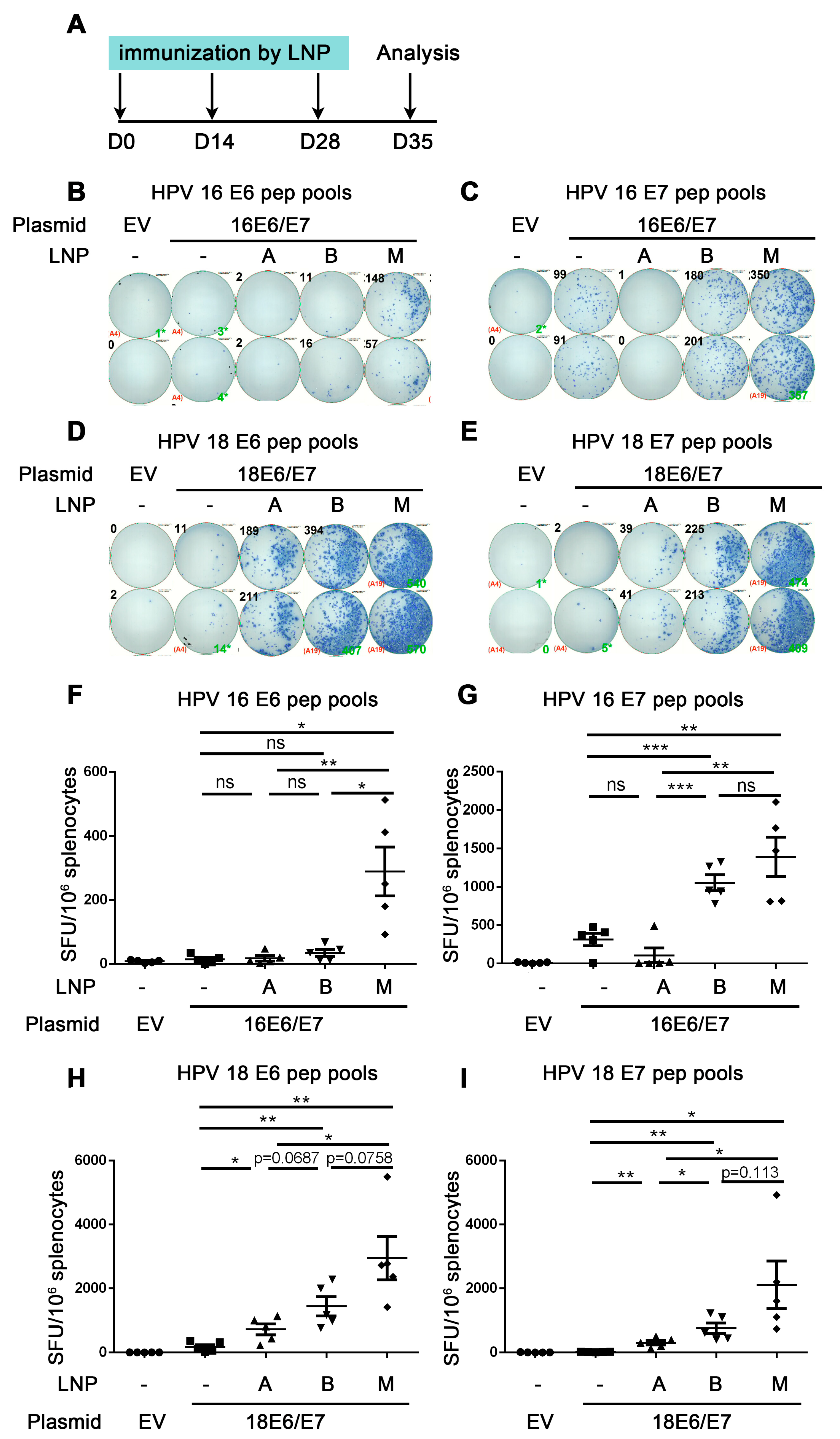 Vaccines 12 00666 g003