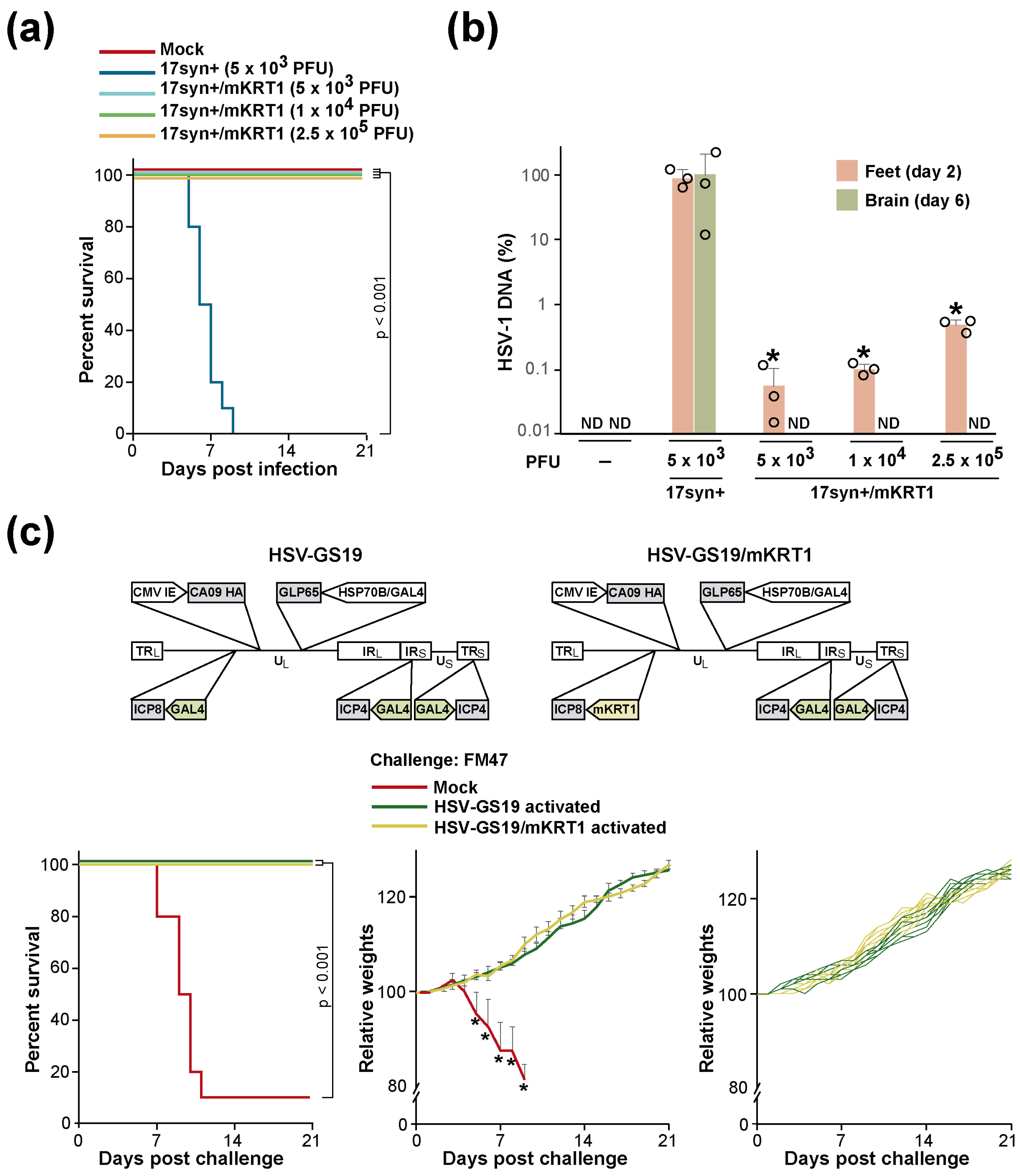 Vaccines 12 00703 g002 Vaccines 12 00703 g002