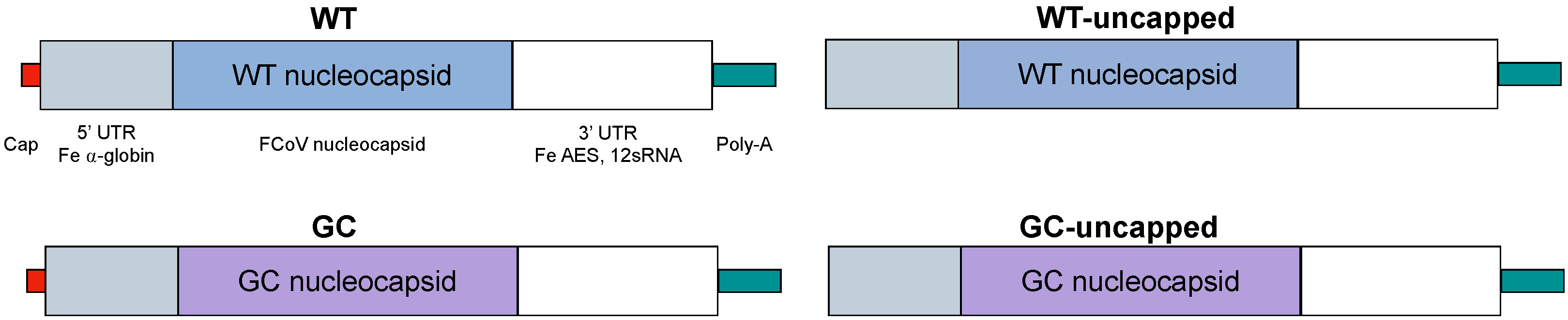 Vaccines 12 00705 g001