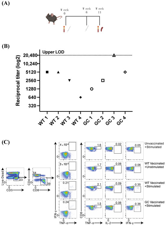 Feline Infectious Peritonitis mRNA Vaccine Elicits Both Humoral and ...