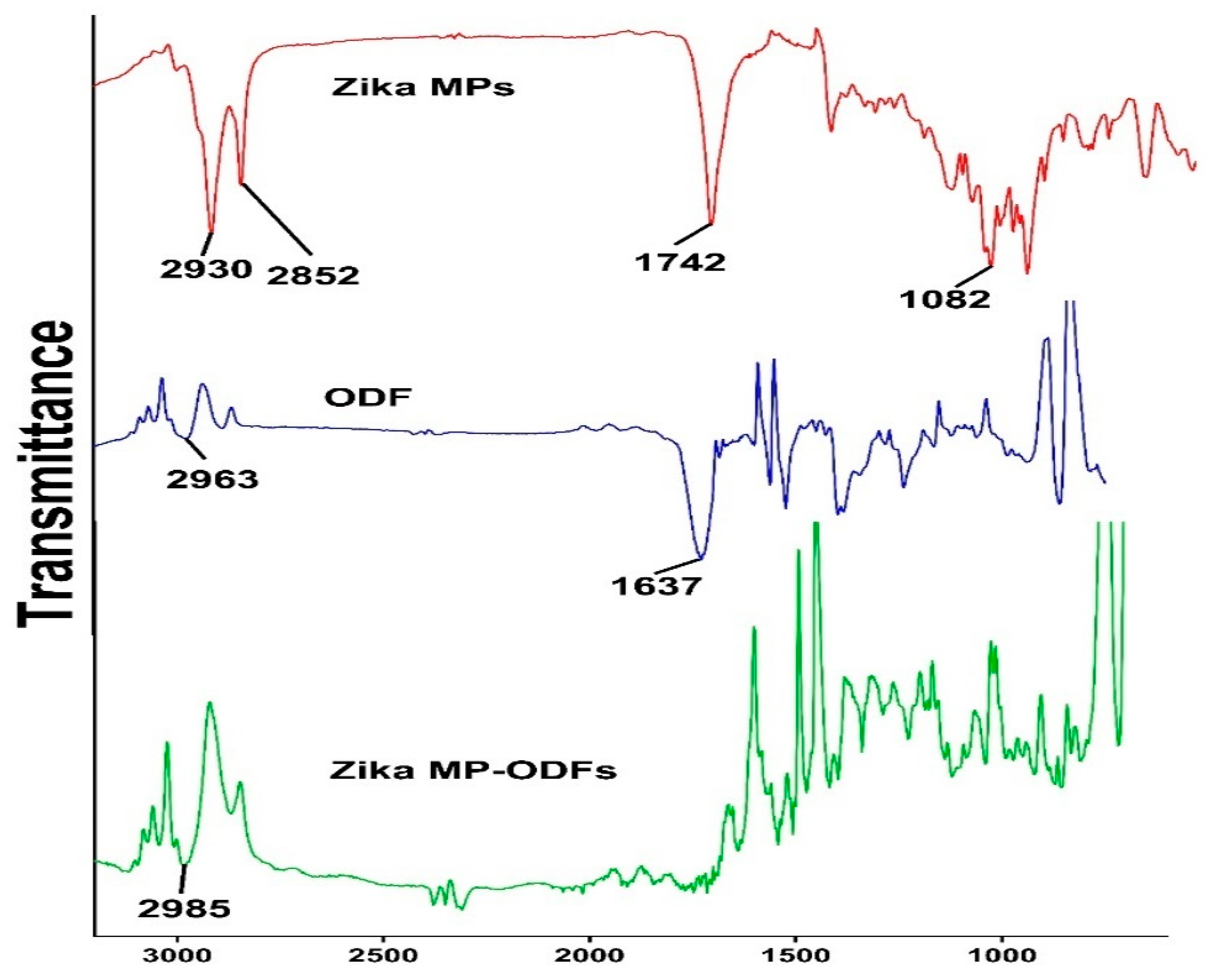 Vaccines 12 00720 g005