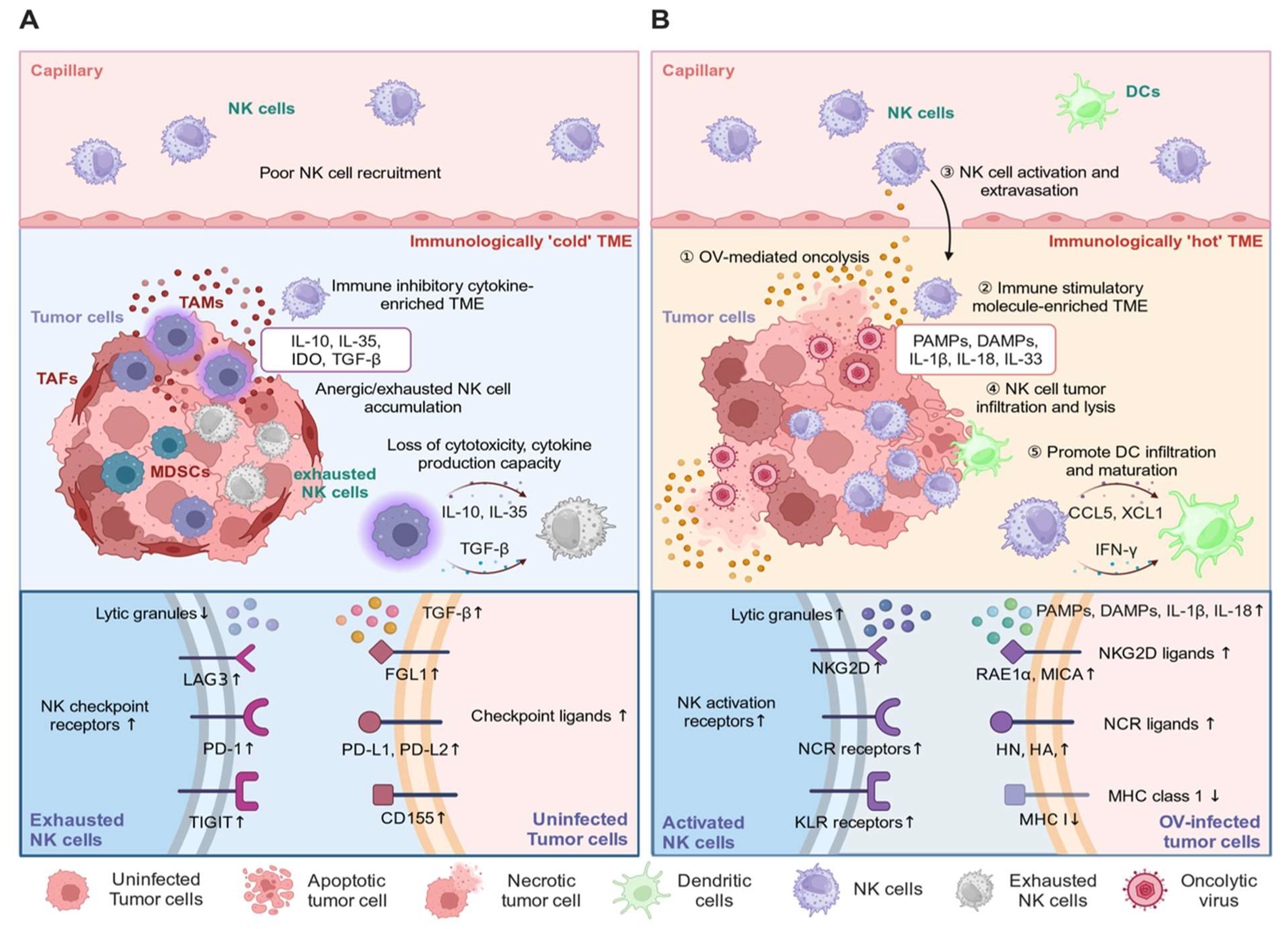 Vaccines 12 00721 g002
