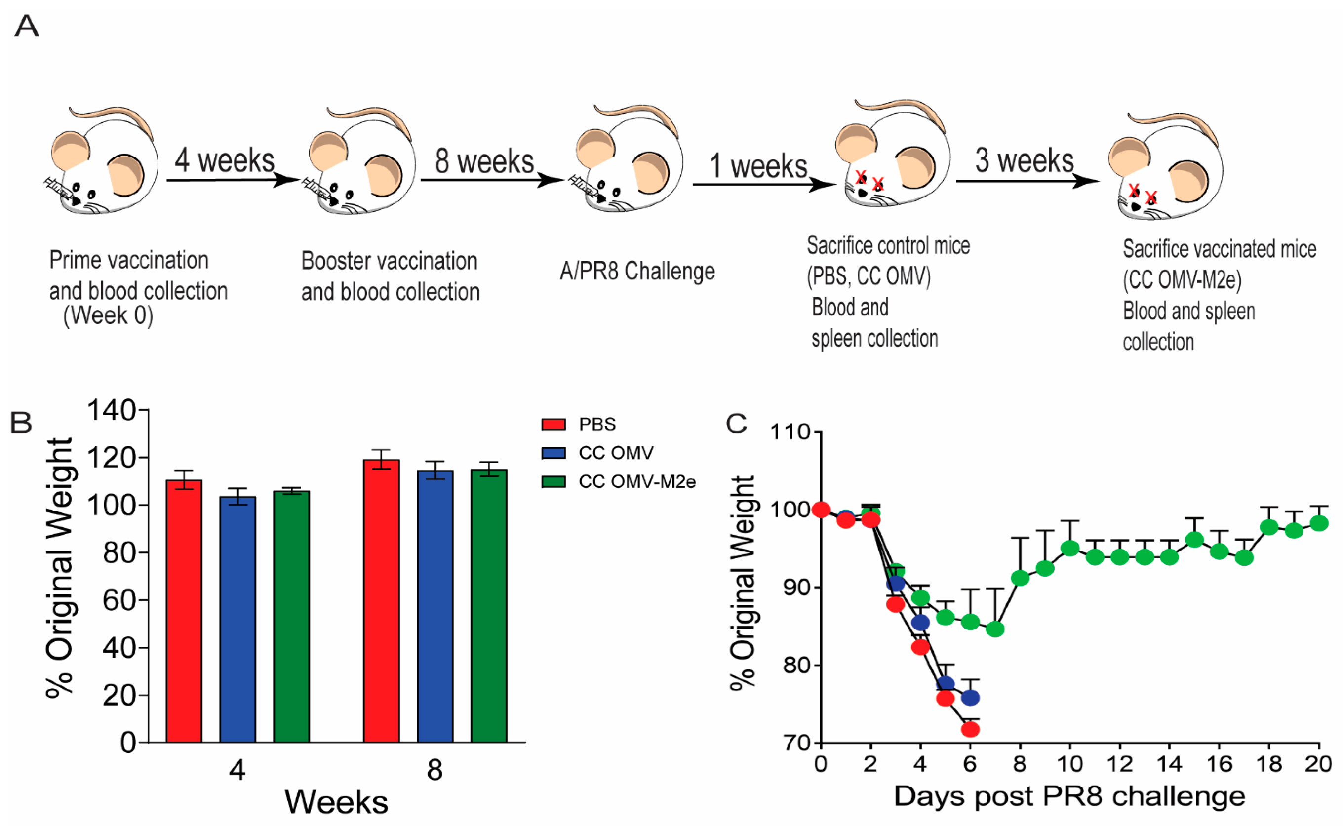 Vaccines 12 00724 g001