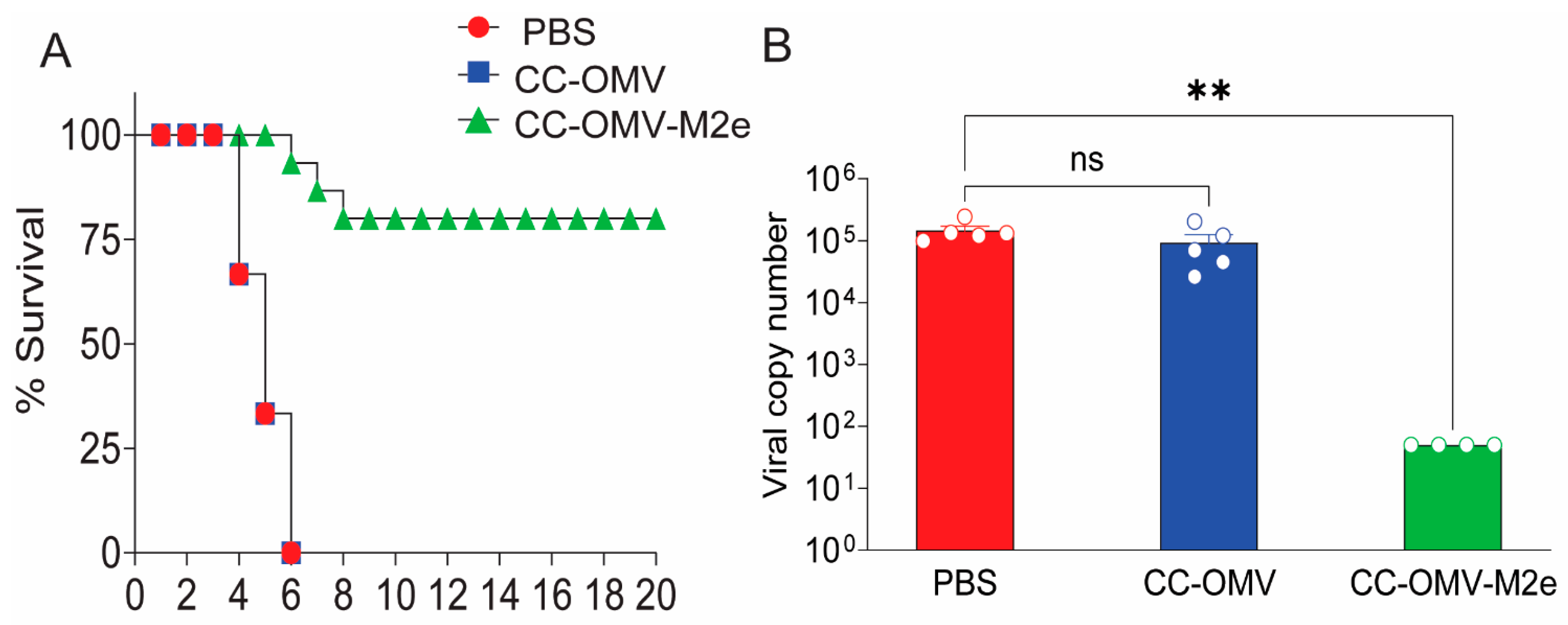Vaccines 12 00724 g002