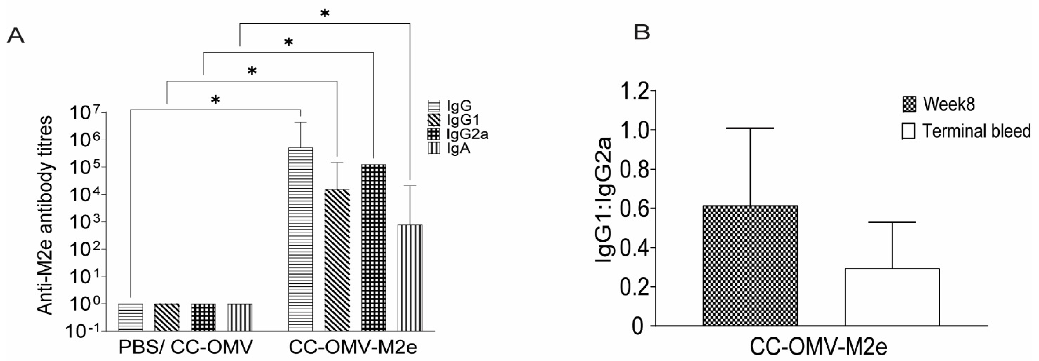 Vaccines 12 00724 g004
