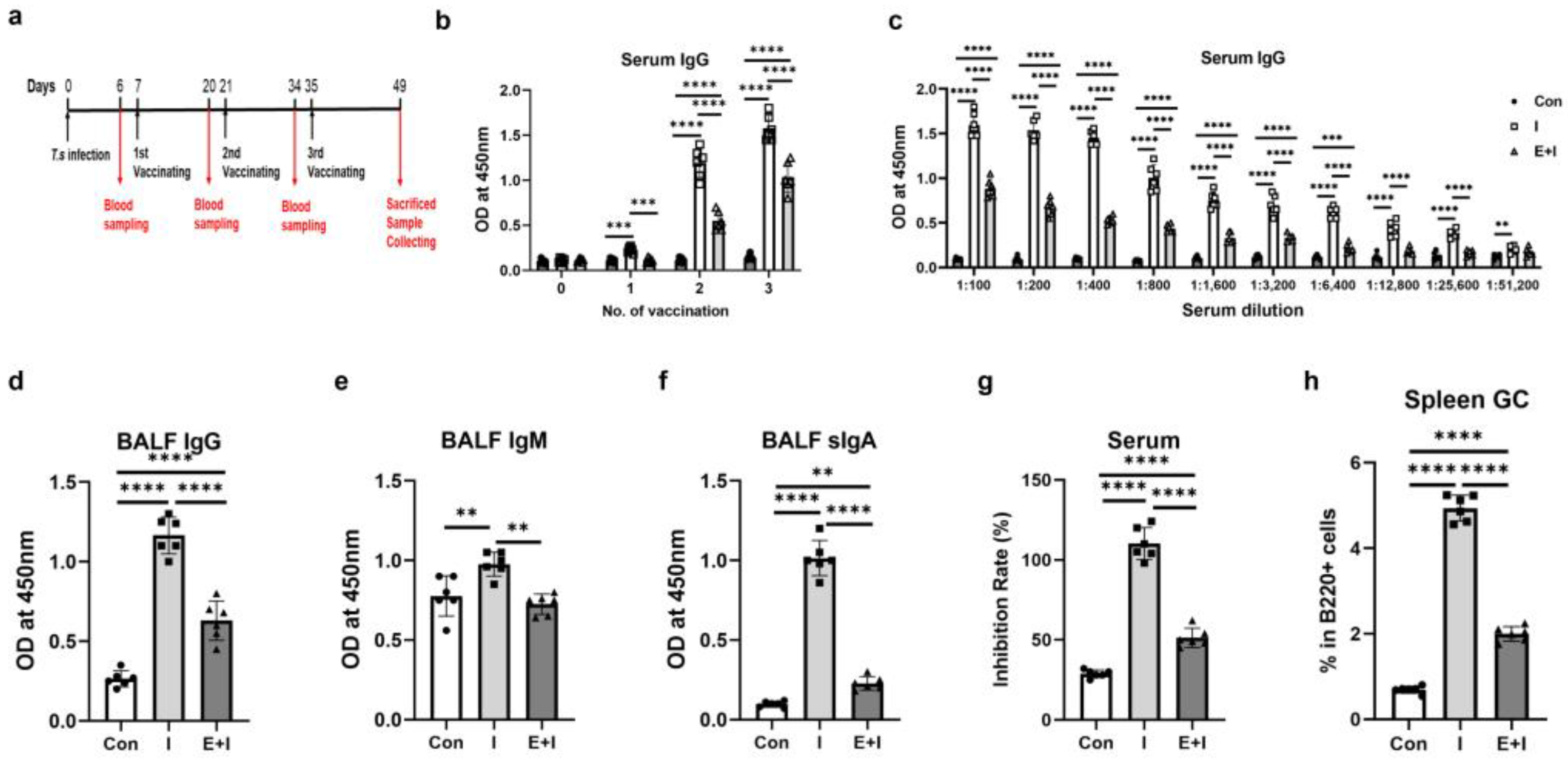 Vaccines 12 00729 g001