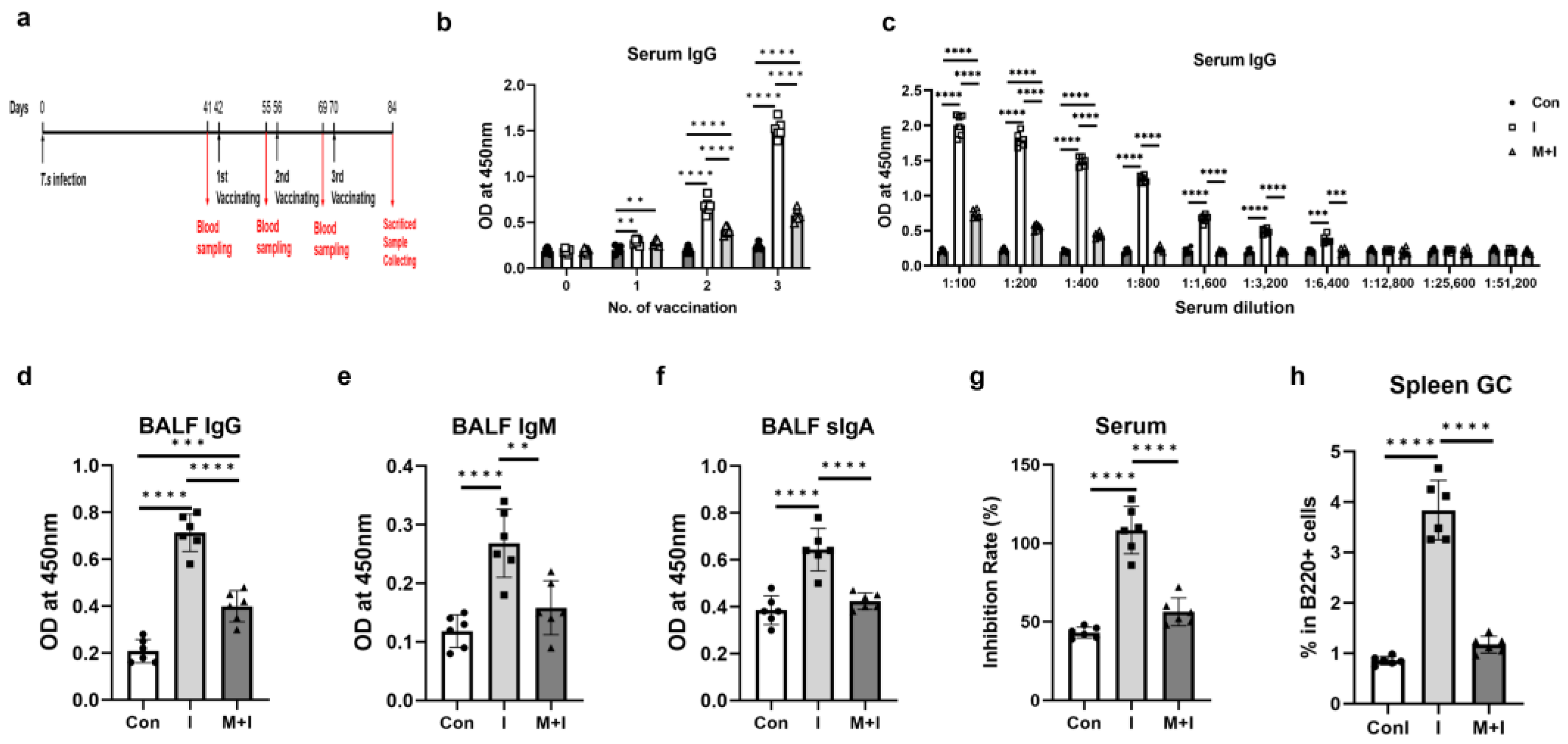 Vaccines 12 00729 g002
