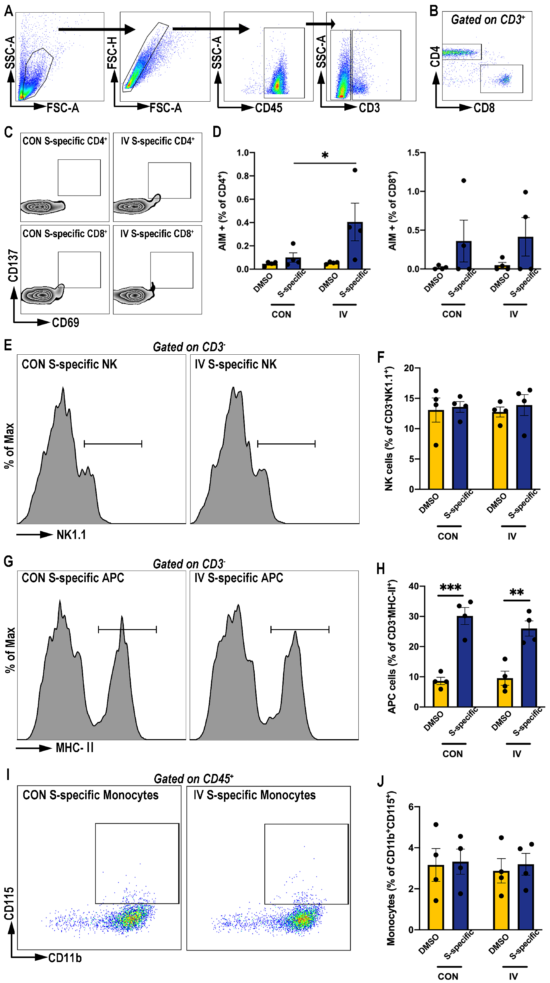 Vaccines 12 00731 g002