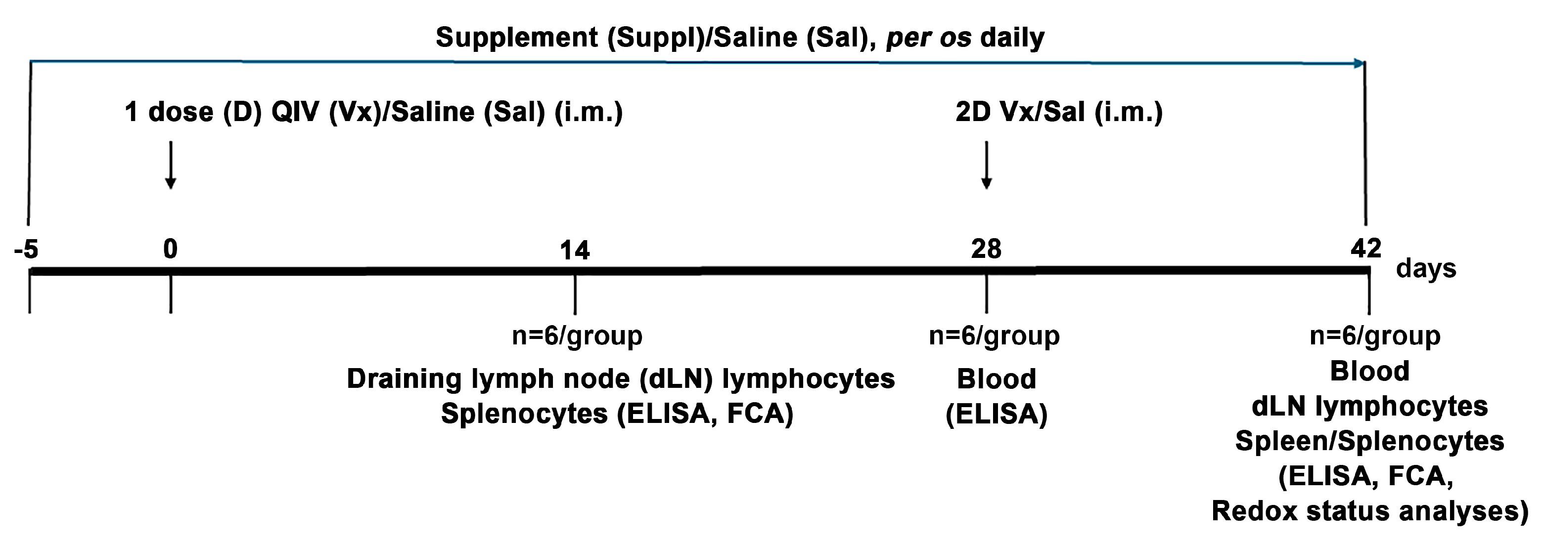 Vaccines 12 00743 g001